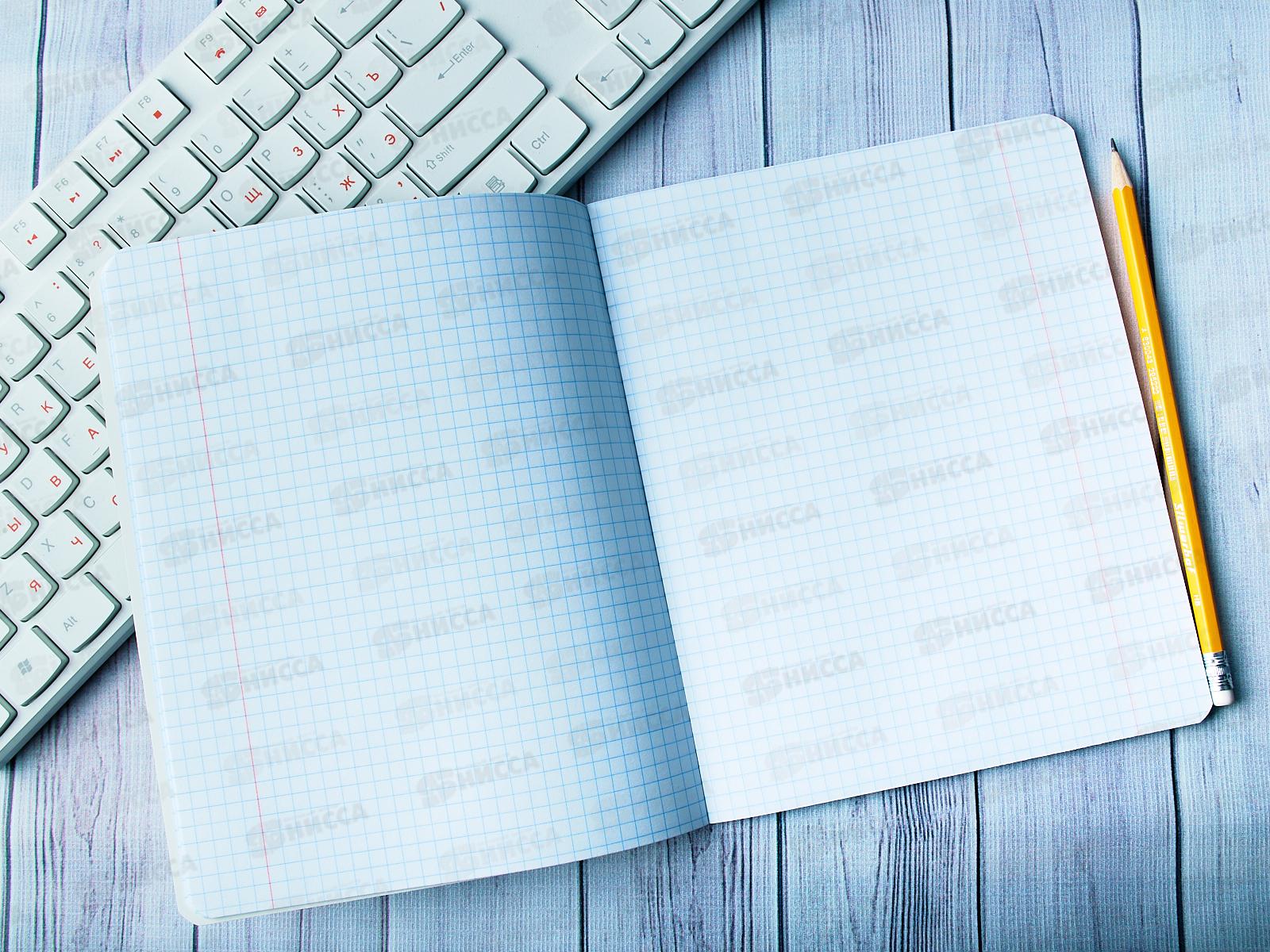 Тетрадь 48листов клетка Hatber Модная прогулка, 5диз *5/100