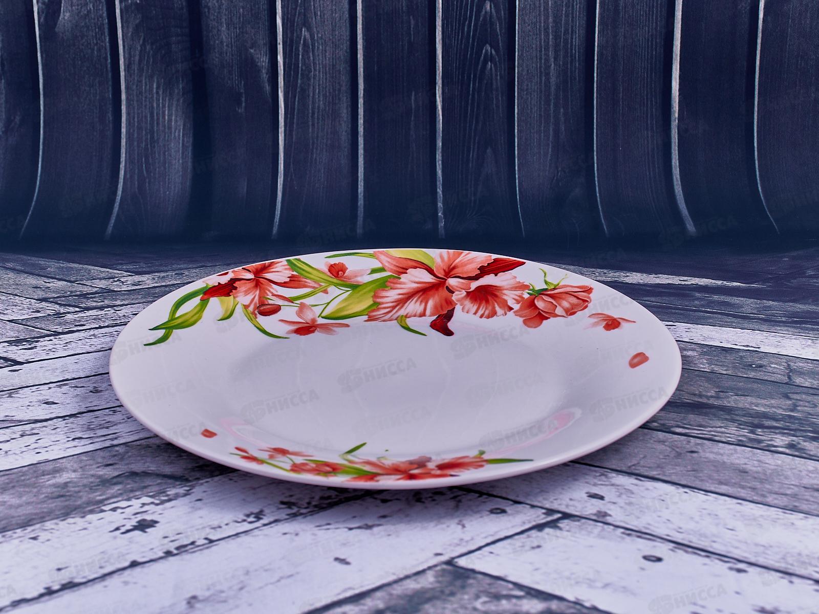 Тарелка обеденная Вьюнок 23см MFK20252