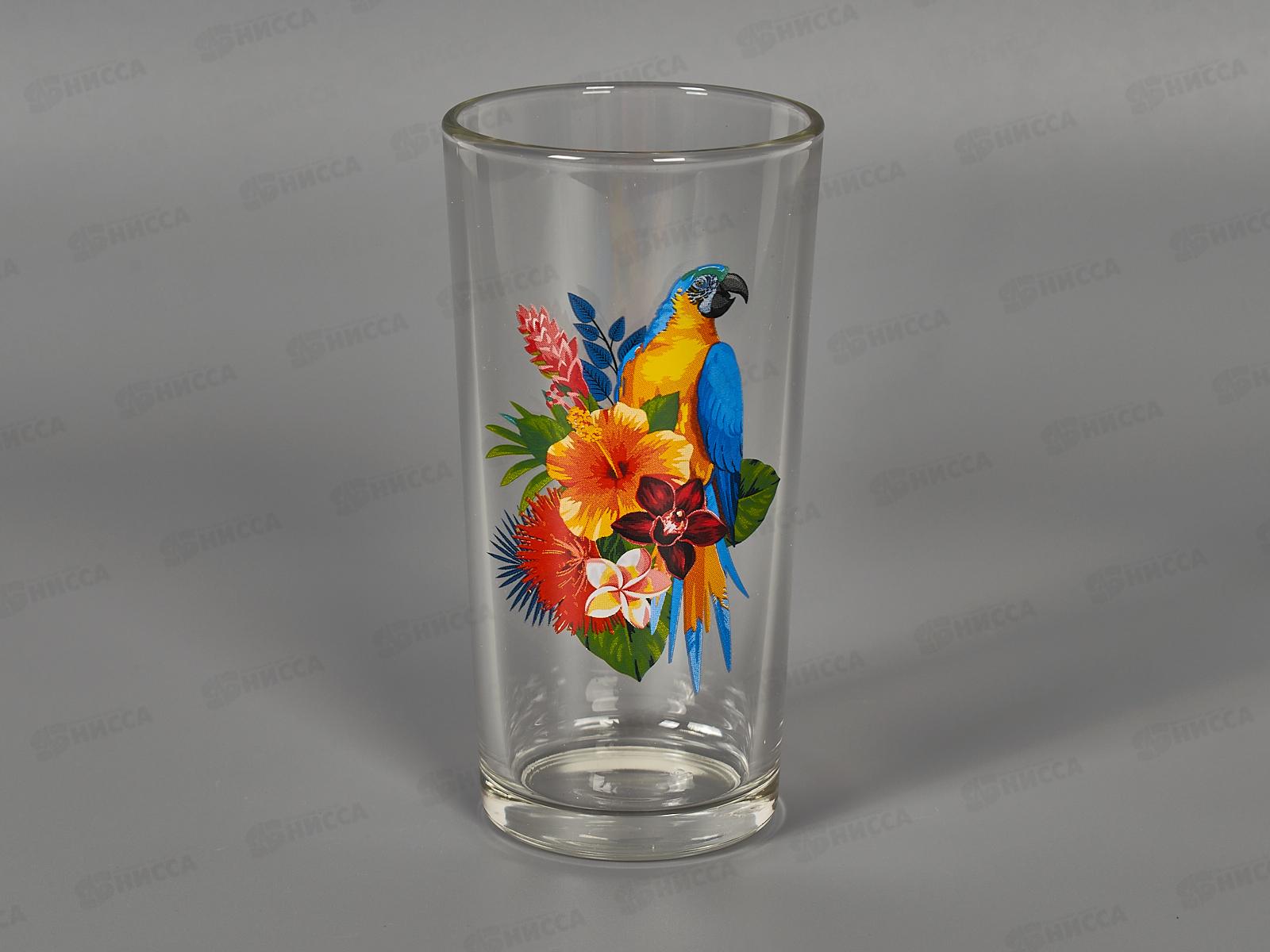Набор стаканов &quotОда&quot (Тропические птицы) 6штук 230мл *6 1256