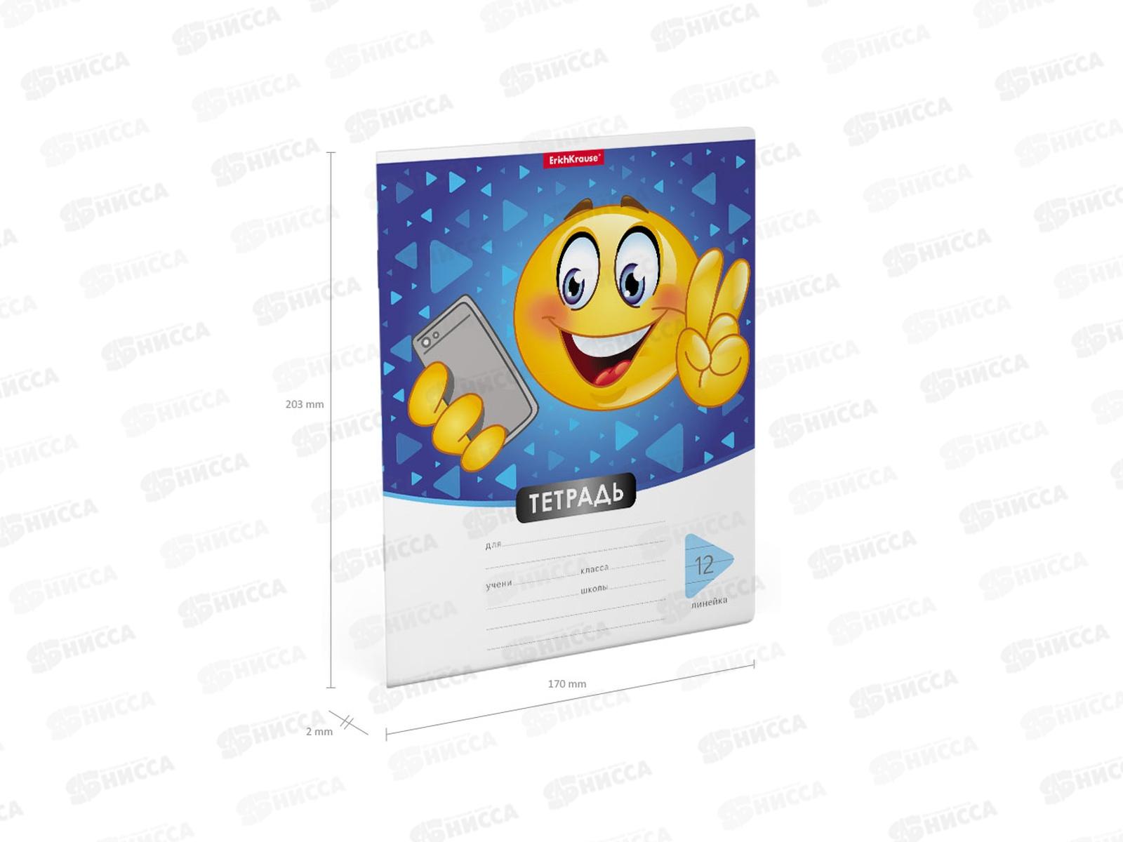 Тетрадь 12листов линия ПОЛИ Смайлики 48831 *10/280