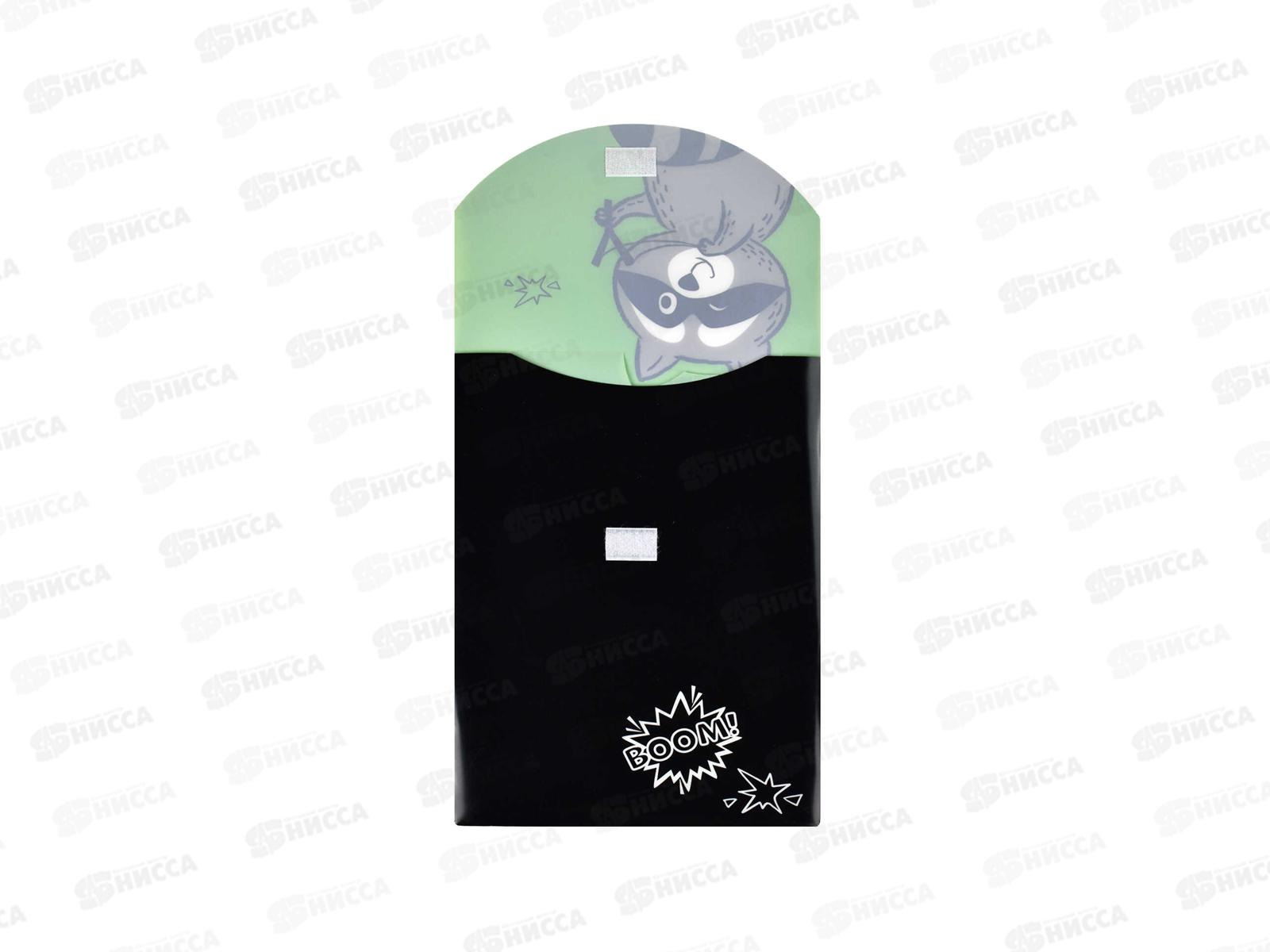 Папка для тетрадей ФЕН А4 Енот, пластик 56317*12