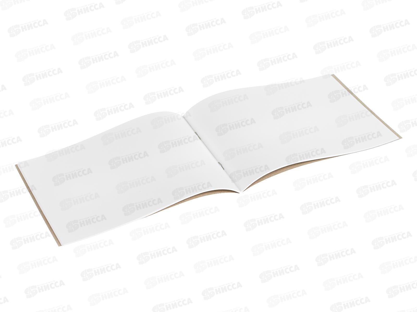 Альбом для рисования 20листов ПГС А5 Веселые фрукты, скрепка *20