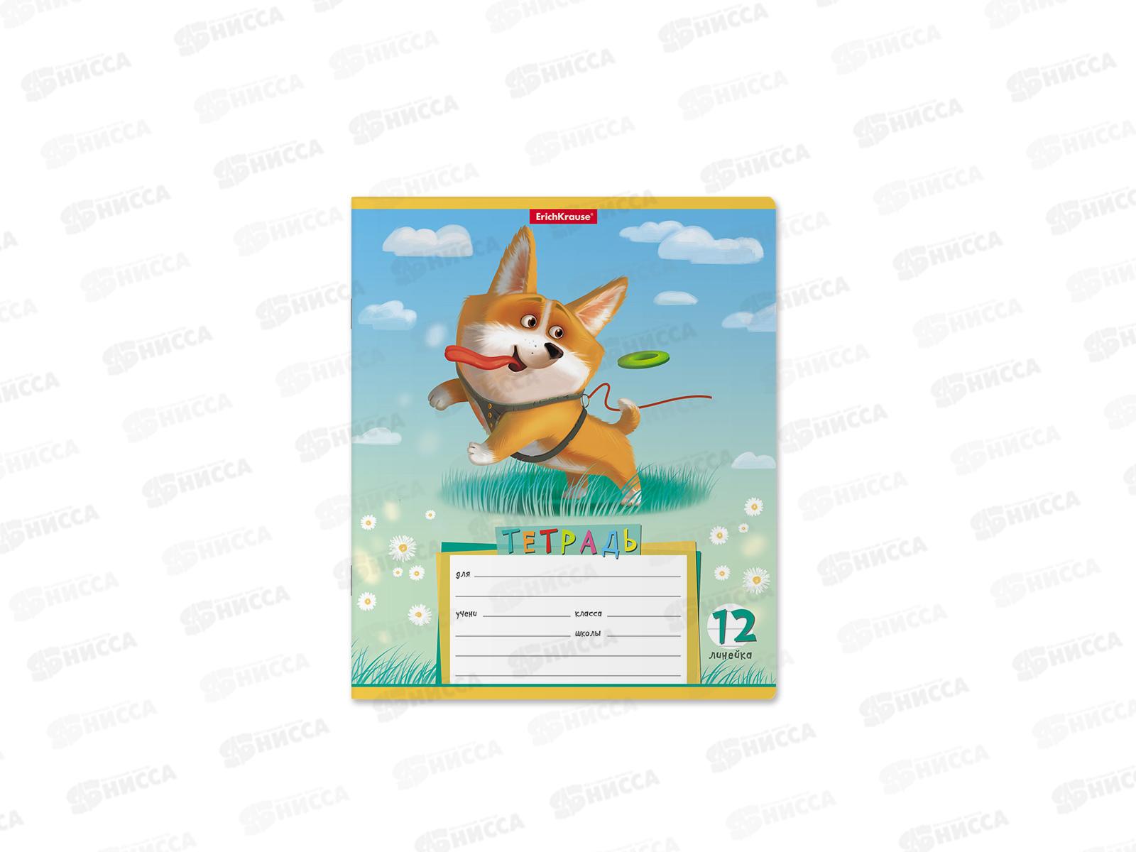 Тетрадь 12листов линия ПОЛИ Корги 51408 *10/280