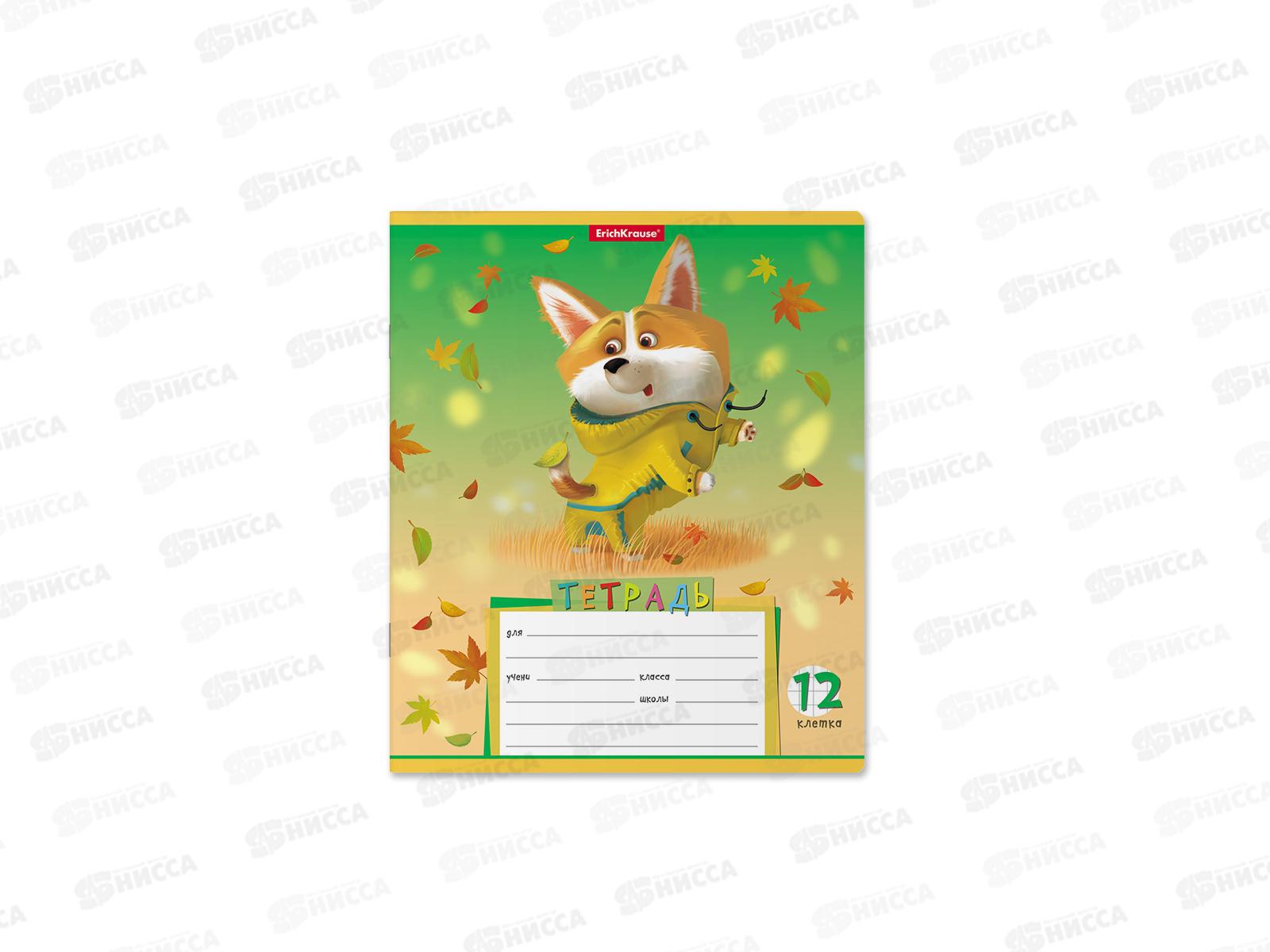 Тетрадь 12листов клетка ПОЛИ Корги 51407  *10/280