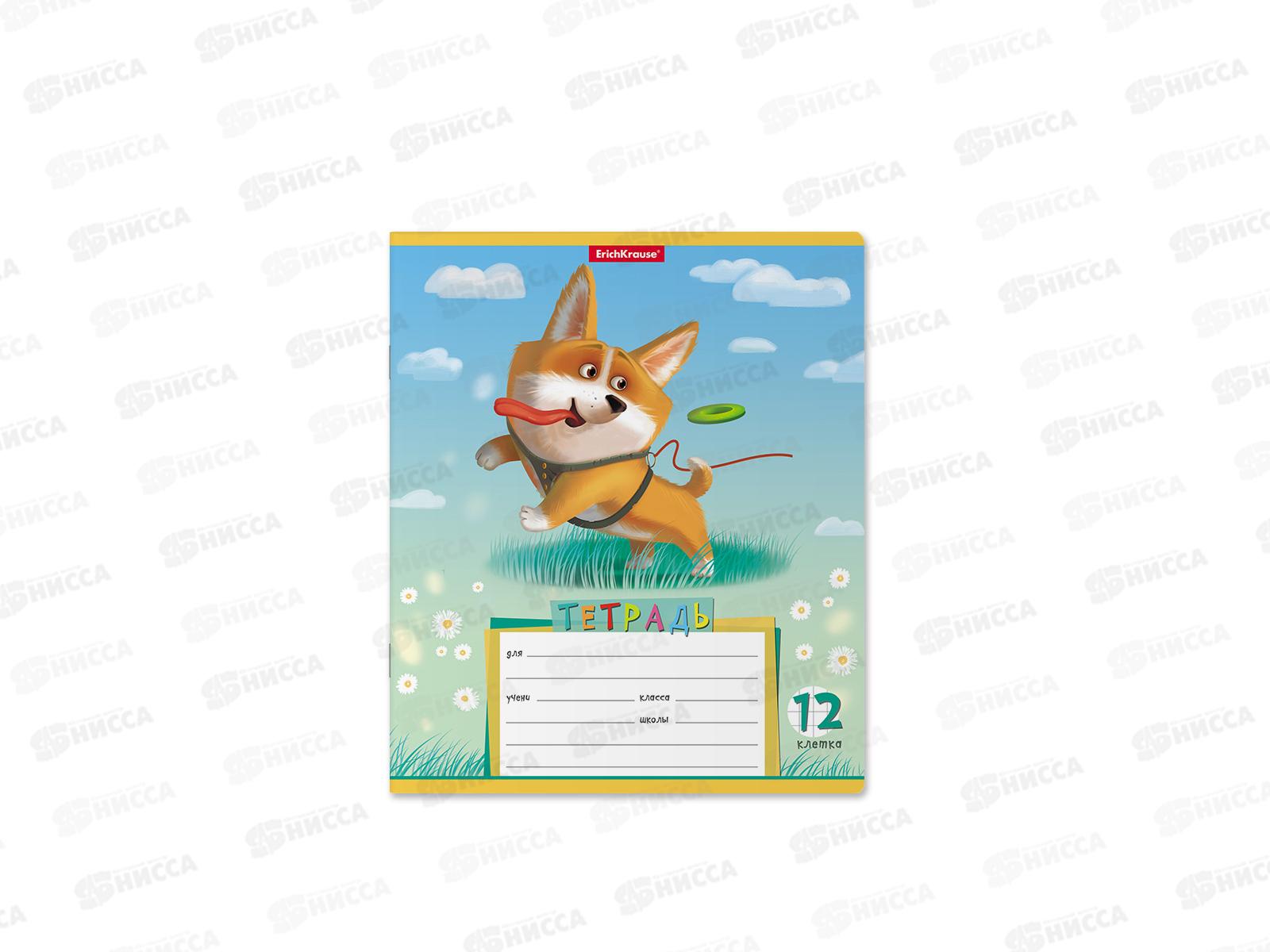 Тетрадь 12листов клетка ПОЛИ Корги 51407  *10/280