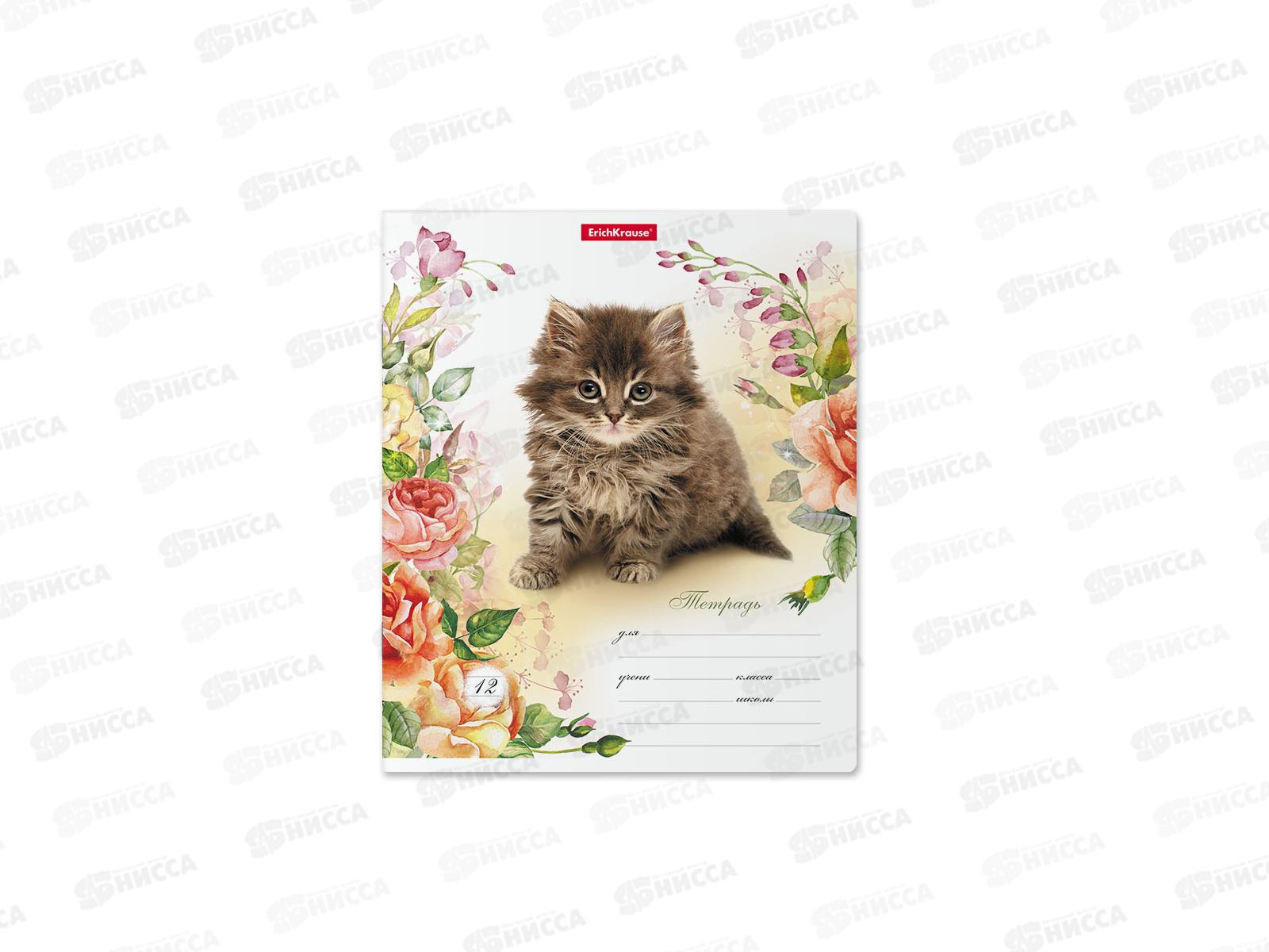 Тетрадь 12листов линия ПОЛИ Мурзики 48821 *10/280