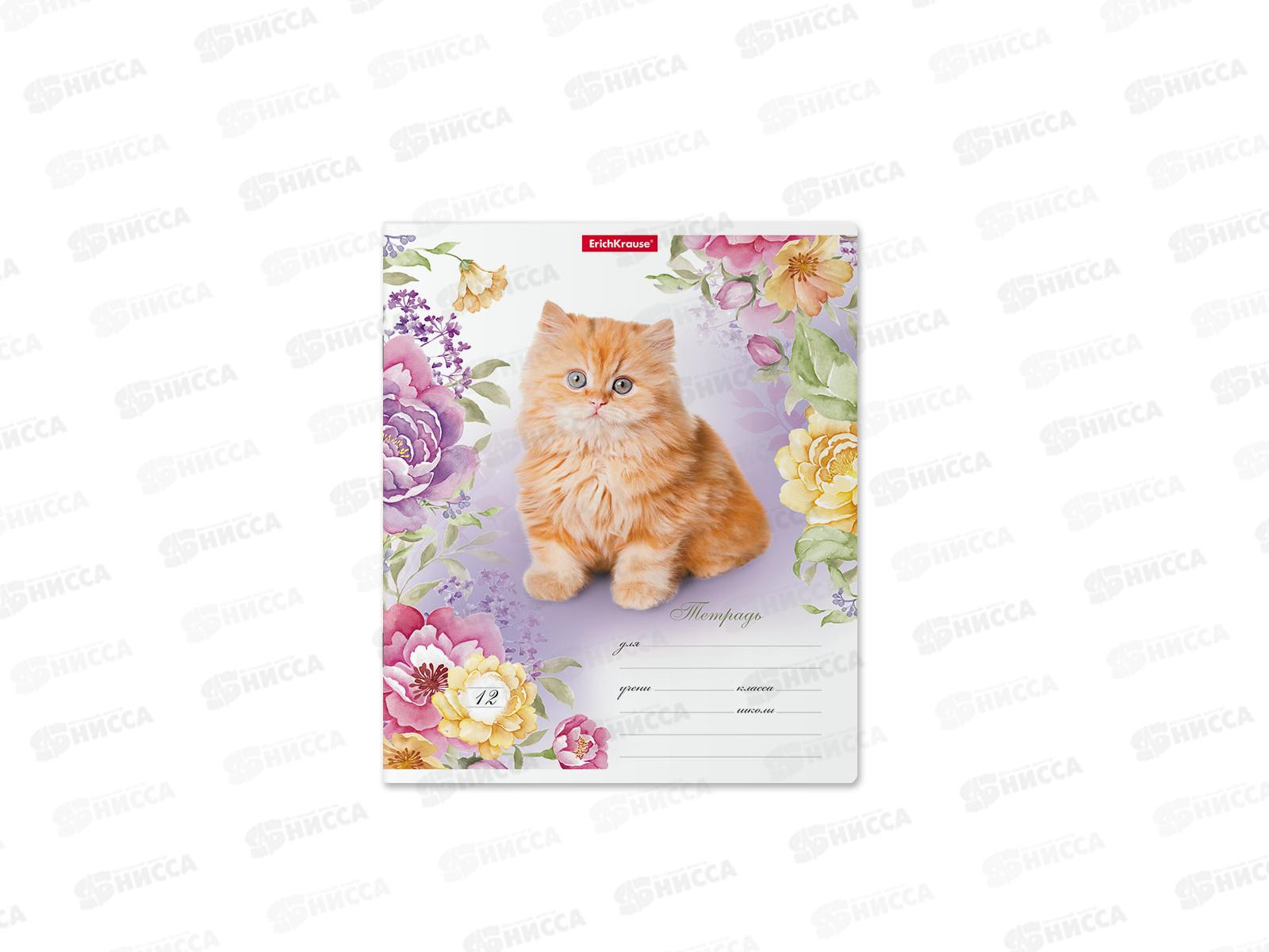 Тетрадь 12листов линия ПОЛИ Мурзики 48821 *10/280