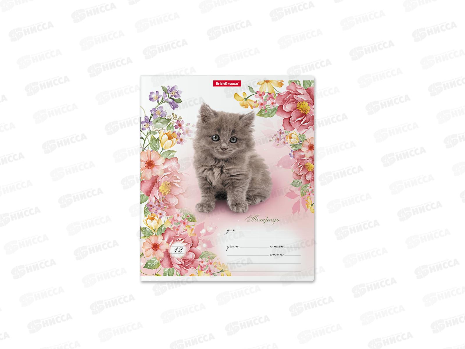 Тетрадь 12листов линия ПОЛИ Мурзики 48821 *10/280