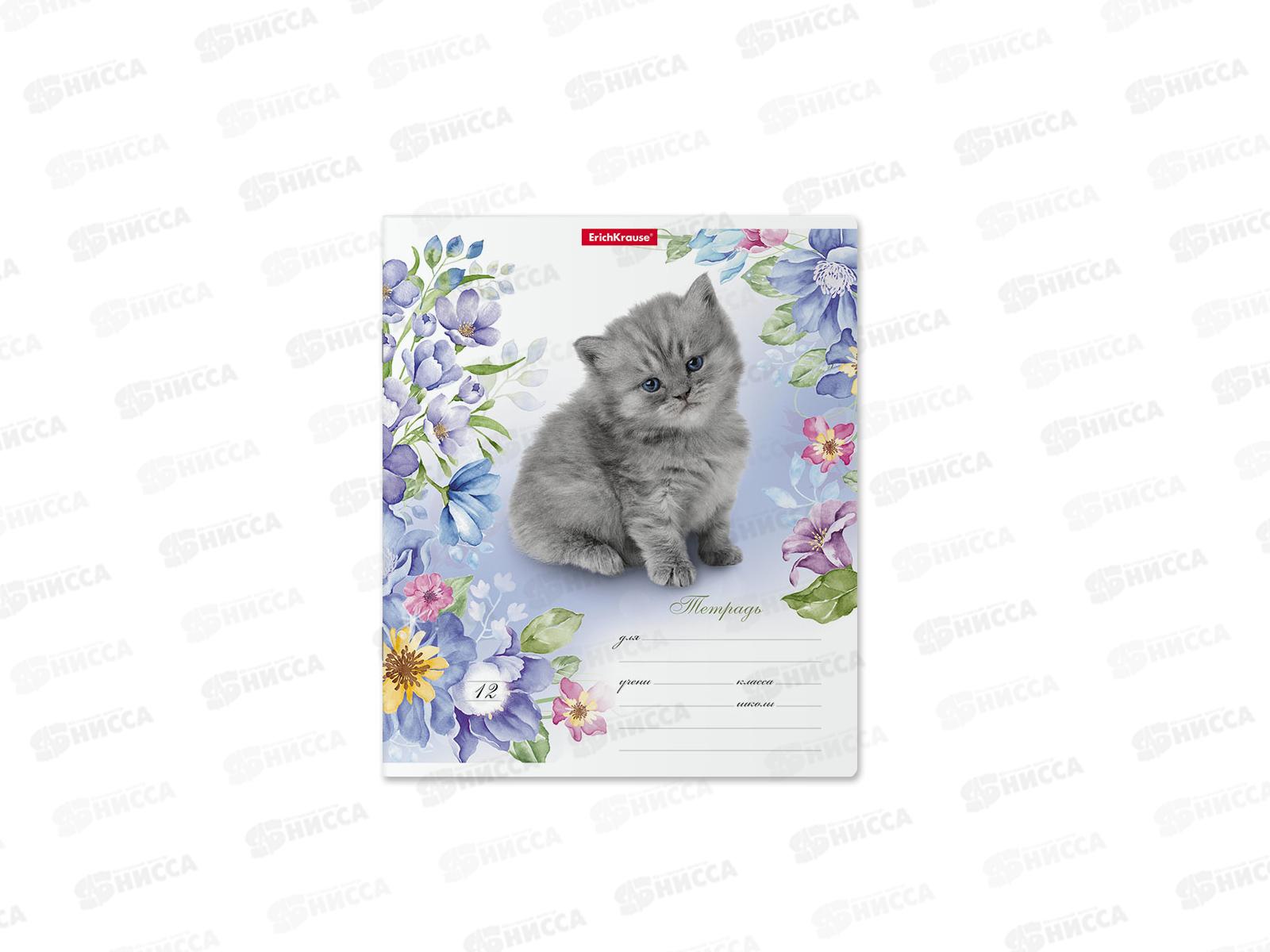 Тетрадь 12листов линия ПОЛИ Мурзики 48821 *10/280