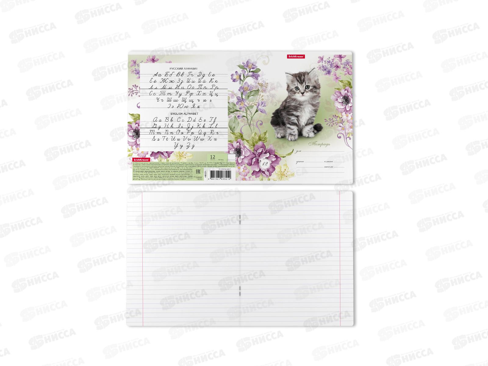 Тетрадь 12листов линия ПОЛИ Мурзики 48821 *10/280