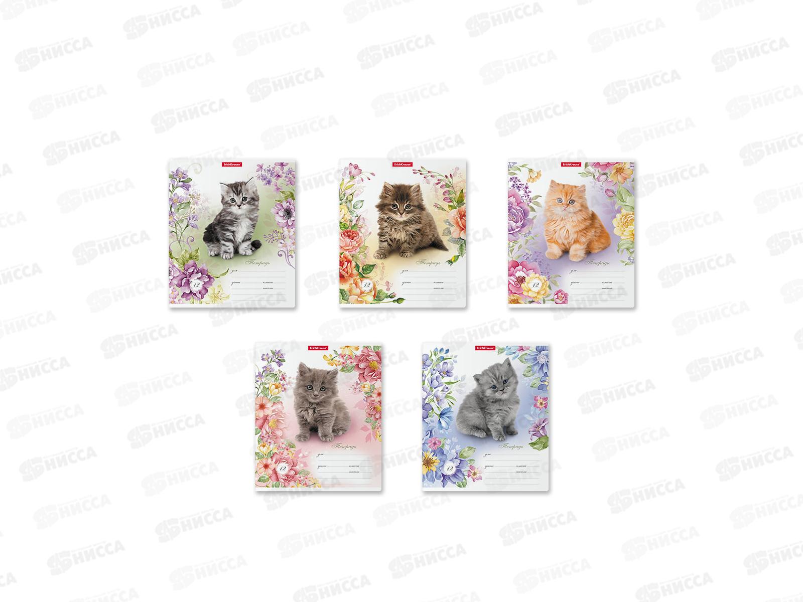 Тетрадь 12листов линия ПОЛИ Мурзики 48821 *10/280