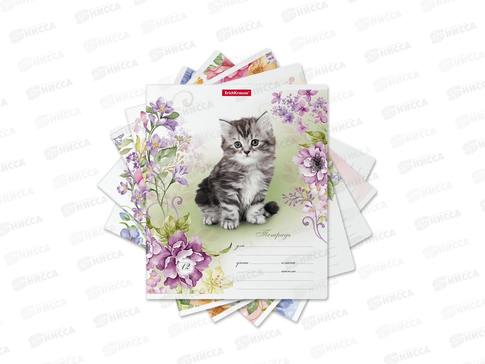 Тетрадь 12листов линия ПОЛИ Мурзики 48821 *10/280