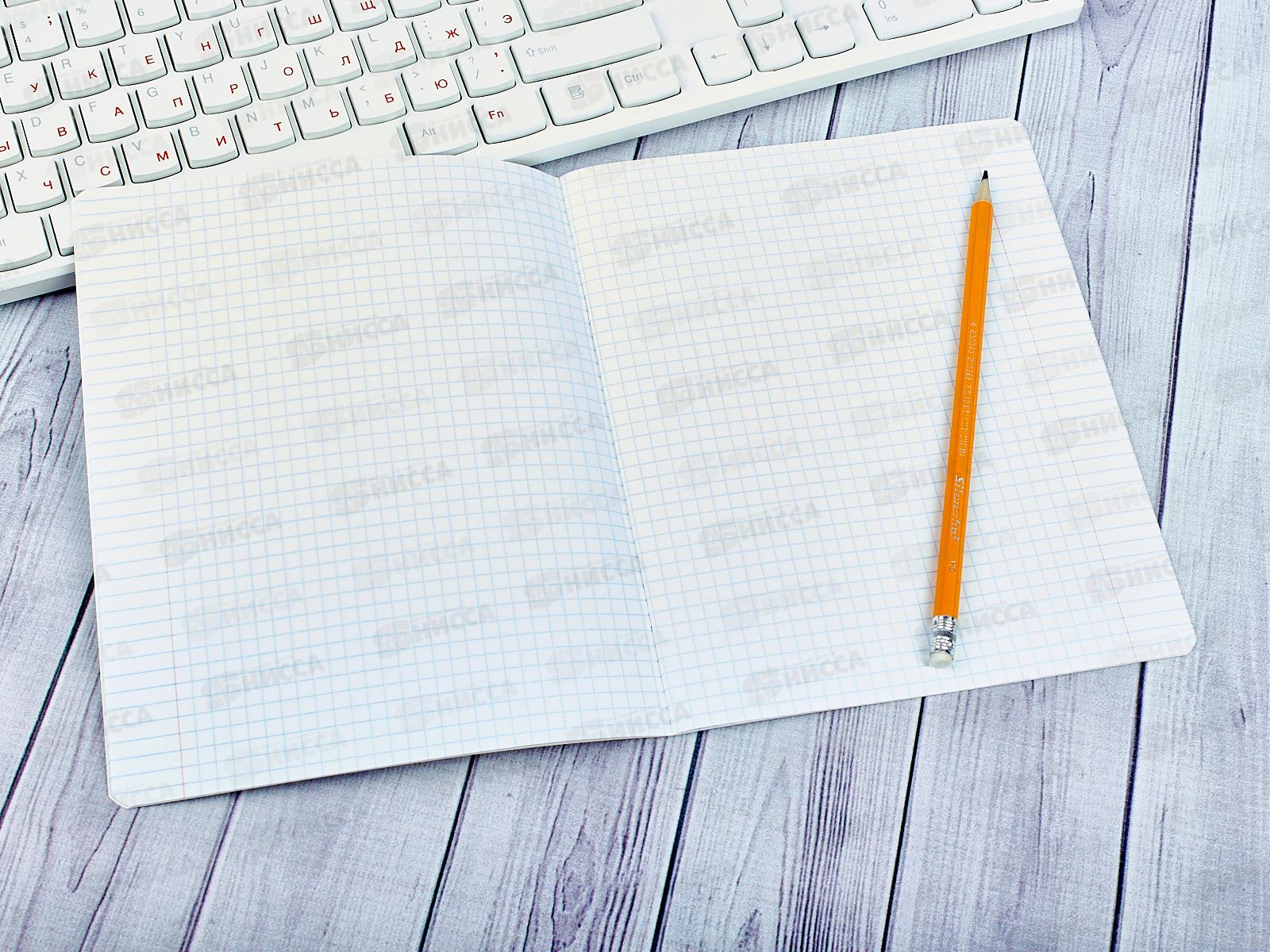 Тетрадь 12листов клетка АКАД Rachael Hale, картонная обложка, УФ двойная RH65/5-EAC*20/120