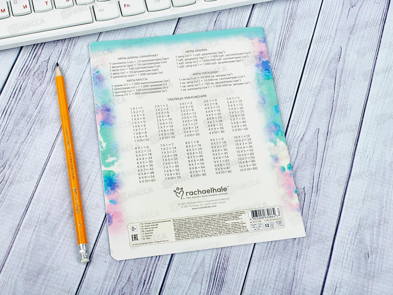 Тетрадь 12листов клетка АКАД Rachael Hale, картонная обложка, УФ двойная RH65/5-EAC*20/120