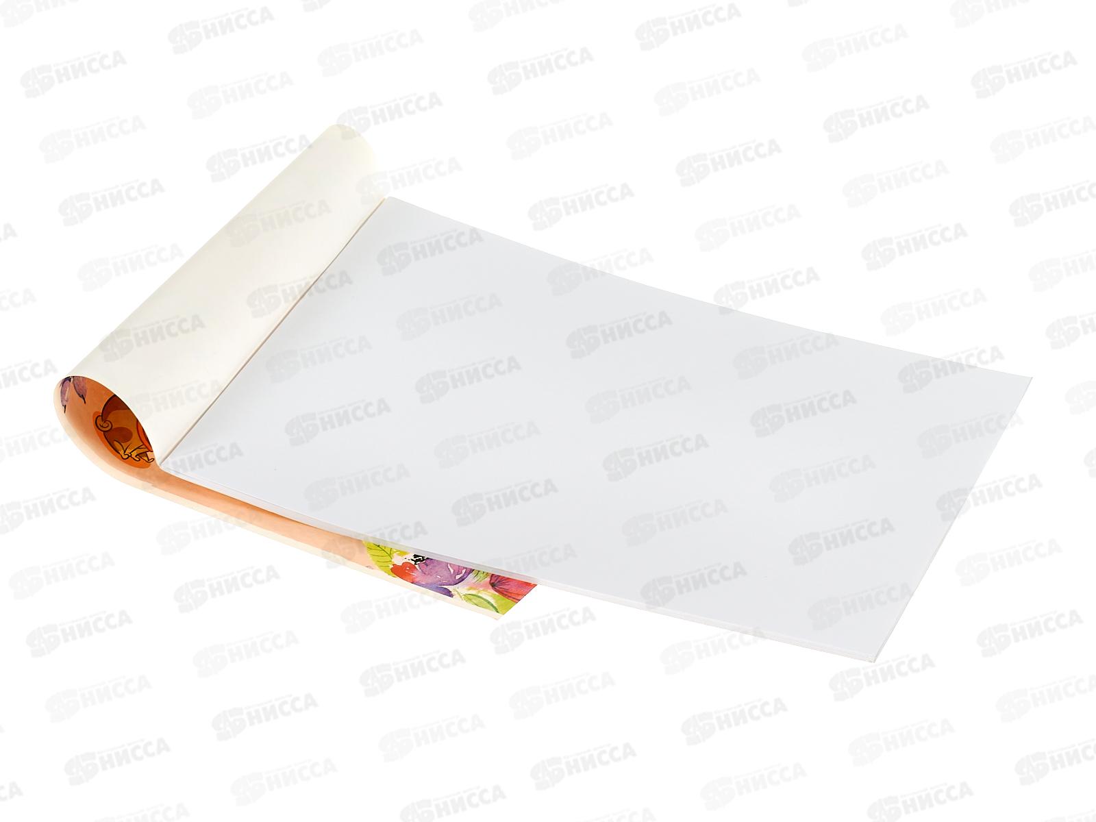 Альбом для рисования 24листа  Hatber Любимцы *11/55