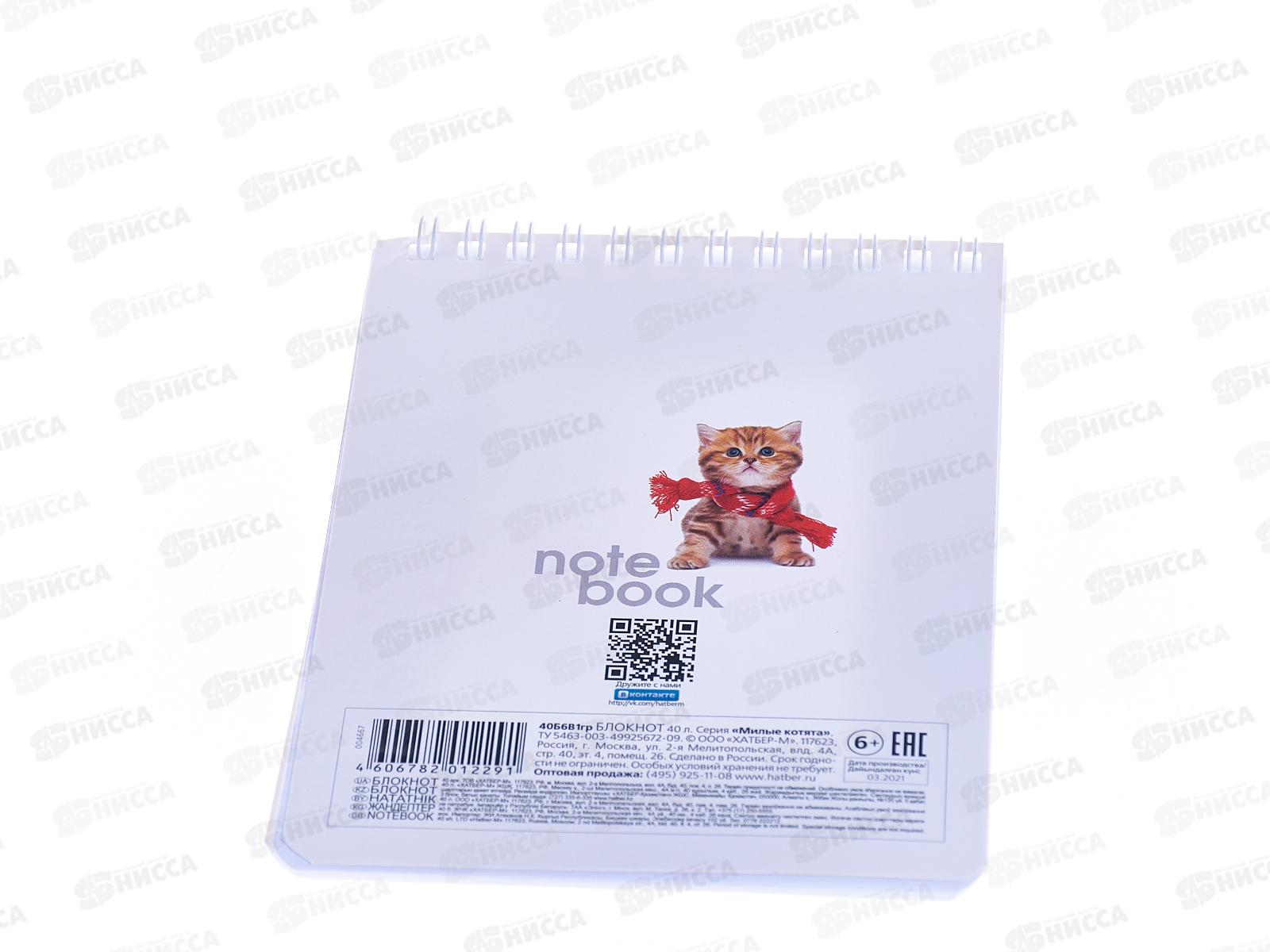 Блокнот 40листов Hatber А6 Милые котята *96
