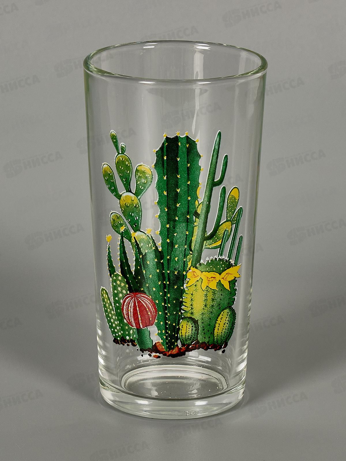 Набор стаканов 250мл 6шт 146-Д Саванна