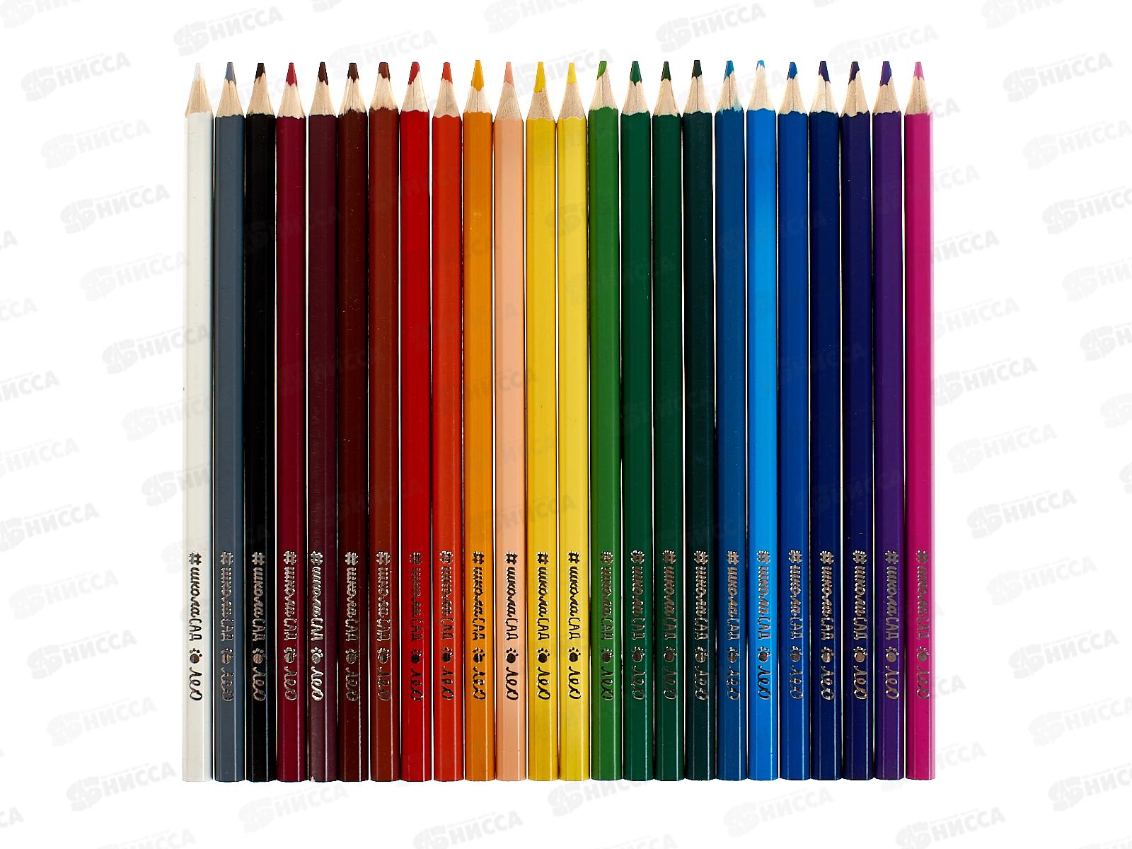 Карандаши 24 цвета  Лео,   LSCP-24*4/24