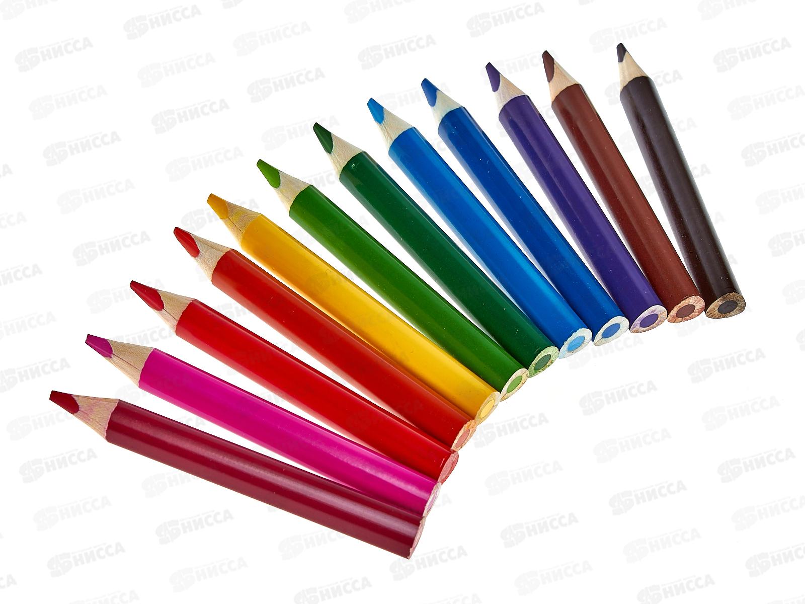 Карандаши 12 цветов ВКФ &quotЦаревны&quot, Джамбо, трехгранные, короткие TSR-SJCP-6012 *12/72