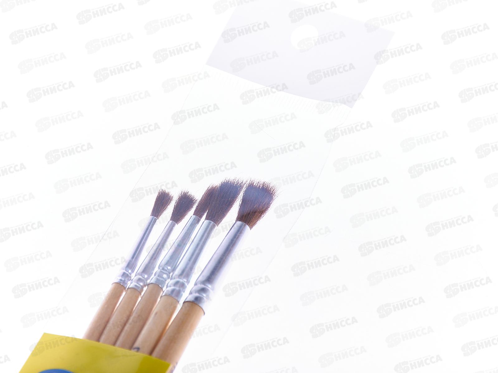 Кисти набор BASIR 5шт. пони (1, 2, 3, 4, 5,), MС-3272 *12