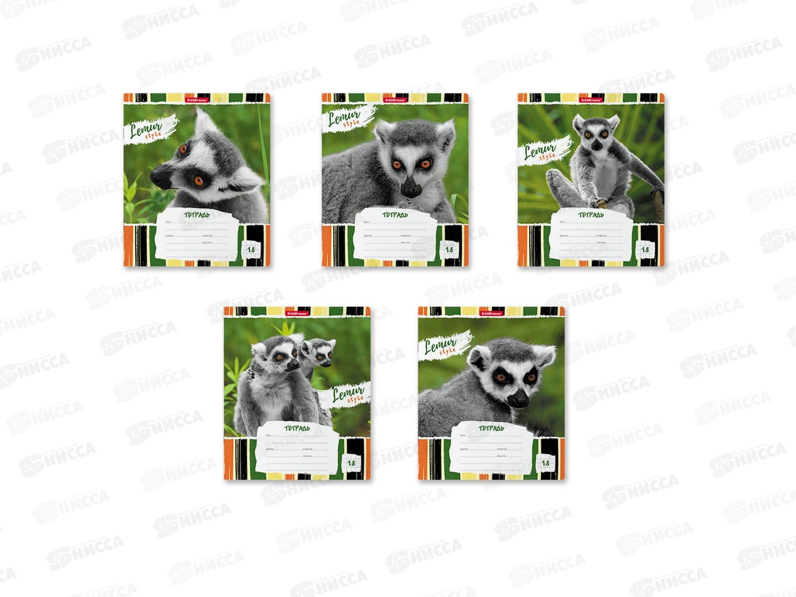 Тетрадь 18 листов клетка  ПОЛИ Lemur Style 49189 *10/200