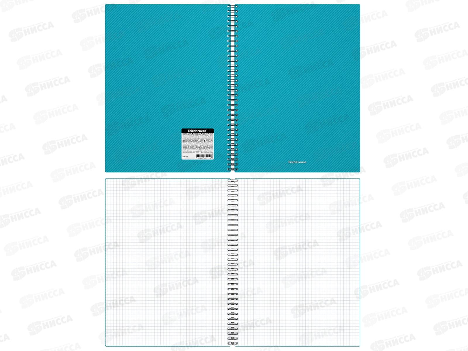 Тетрадь 80листов клетка  ПОЛИ Glance Vivid, на гребне, 53145 *24