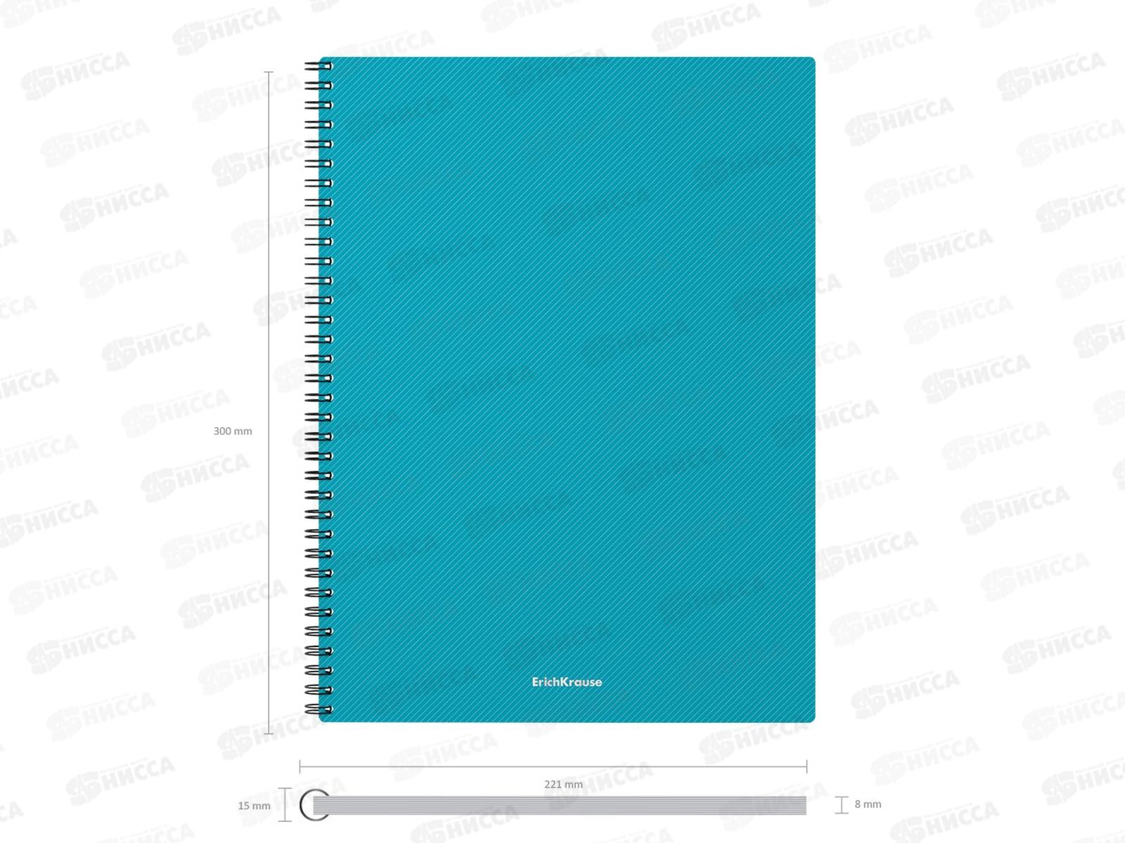 Тетрадь 80листов клетка  ПОЛИ Glance Vivid, на гребне, 53145 *24