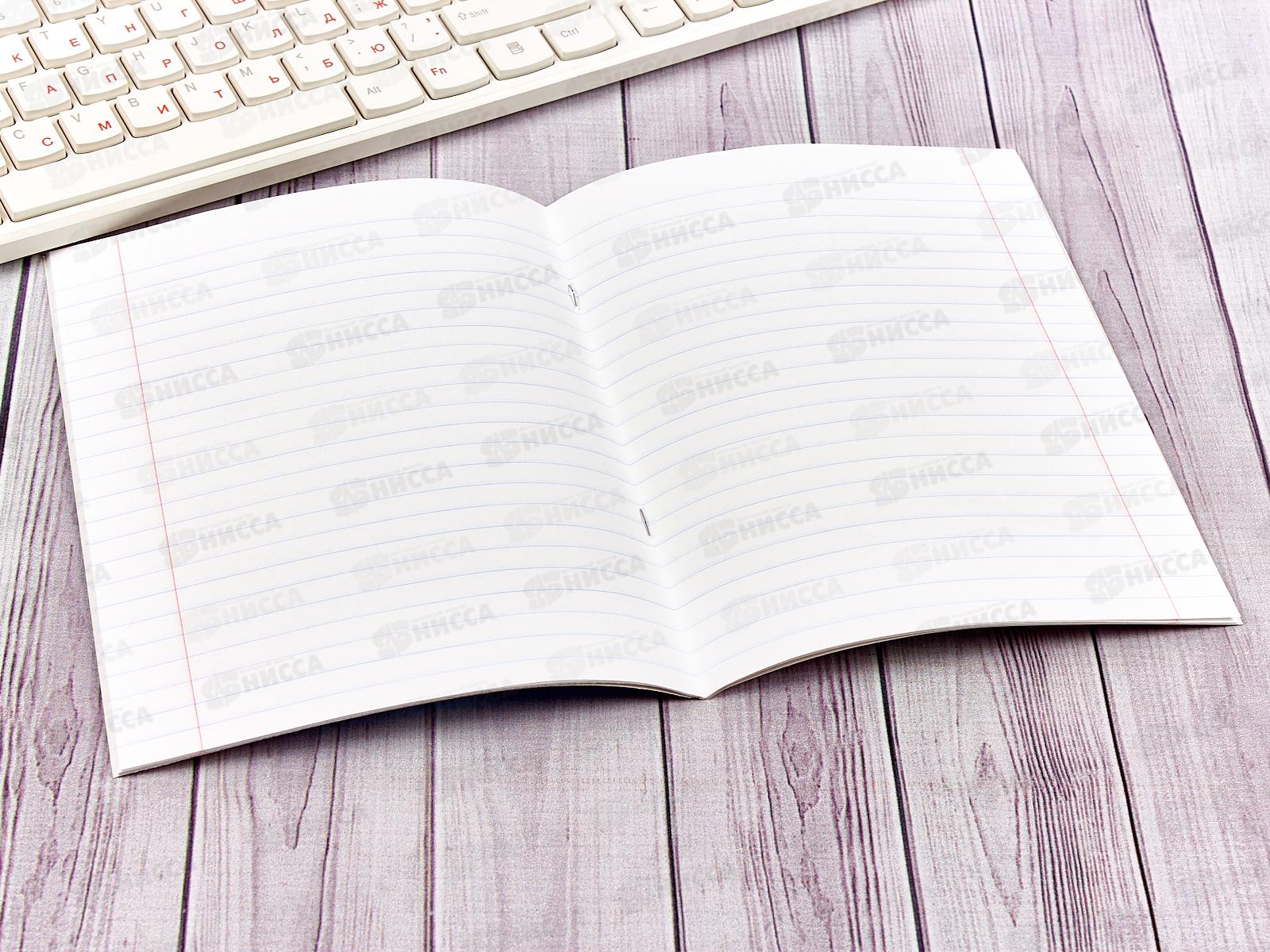 Тетрадь 24 листа  линия  ЭКСМ Однотонная серия, 5 видов  ТЛЛ245003 *60