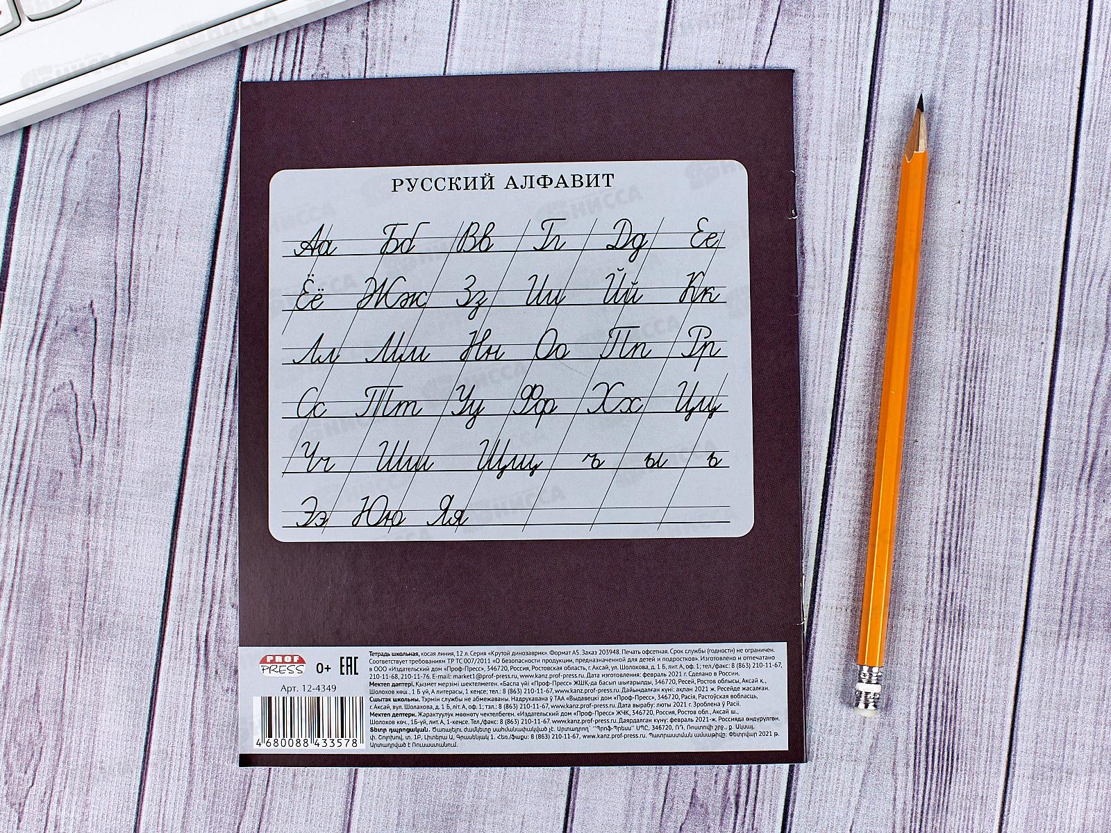 Тетрадь 12 листов косая линия ПП Крутой динозаврик, мелованная 12-4349, 5 диз*25/250