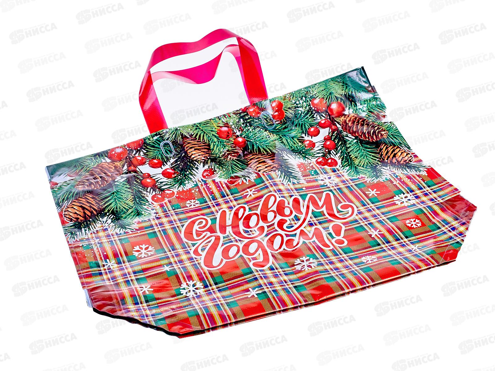 Пакет  сумка Эко ПВД НГ 50*40 Колорит *10/100