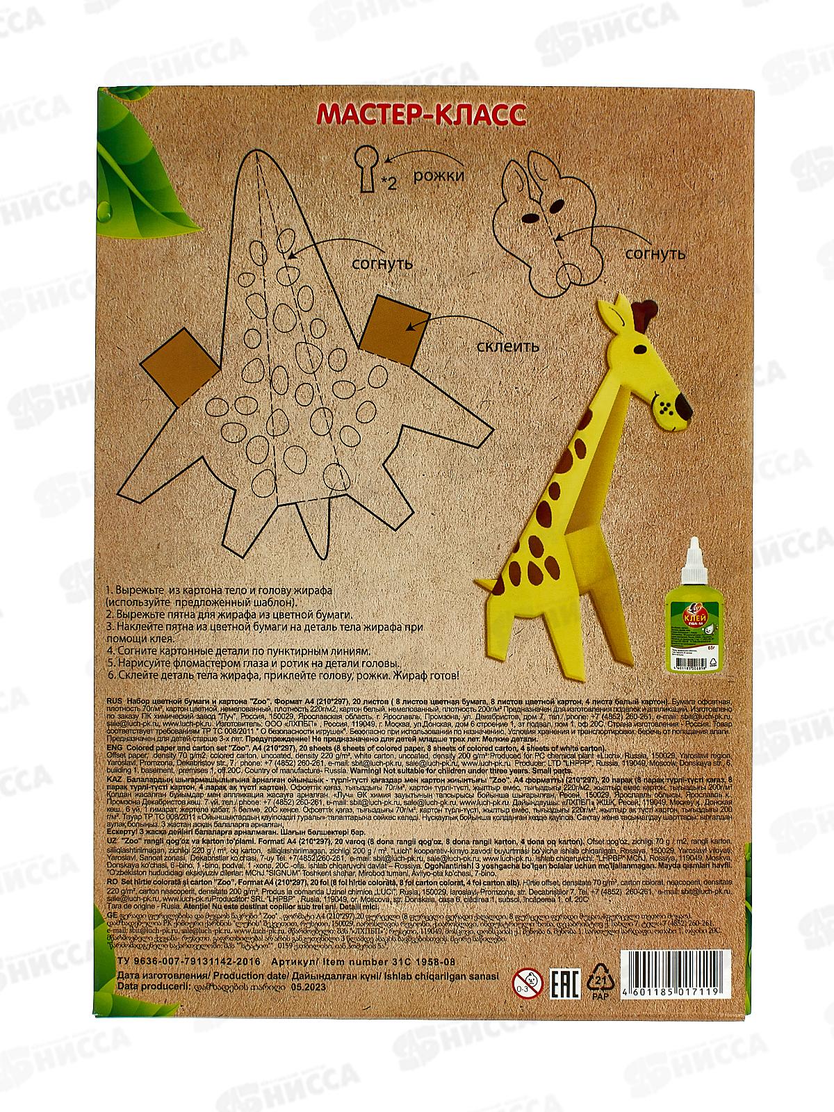 Цветная бумага+картон ZOO A4, Лев 20листов,    31с1958-08 *30