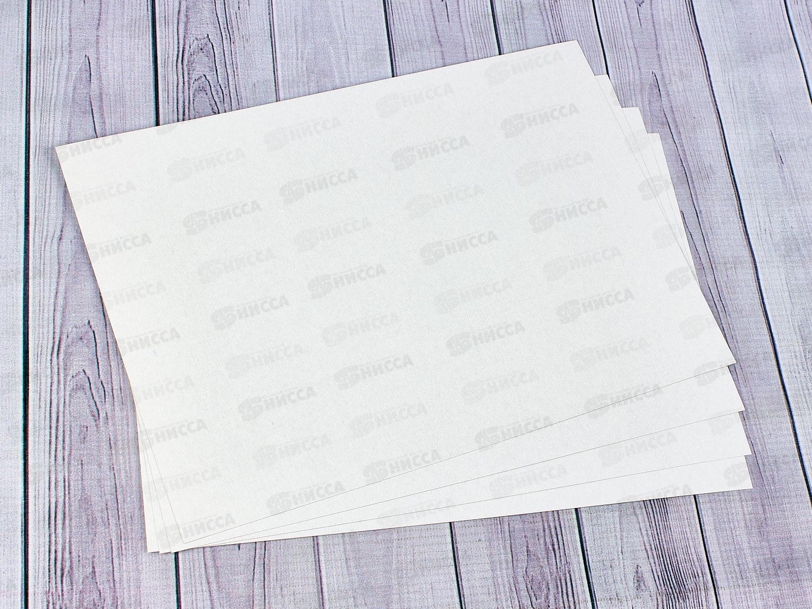 Цветная бумага+картон ZOO A4, Лев 20листов,    31с1958-08 *30