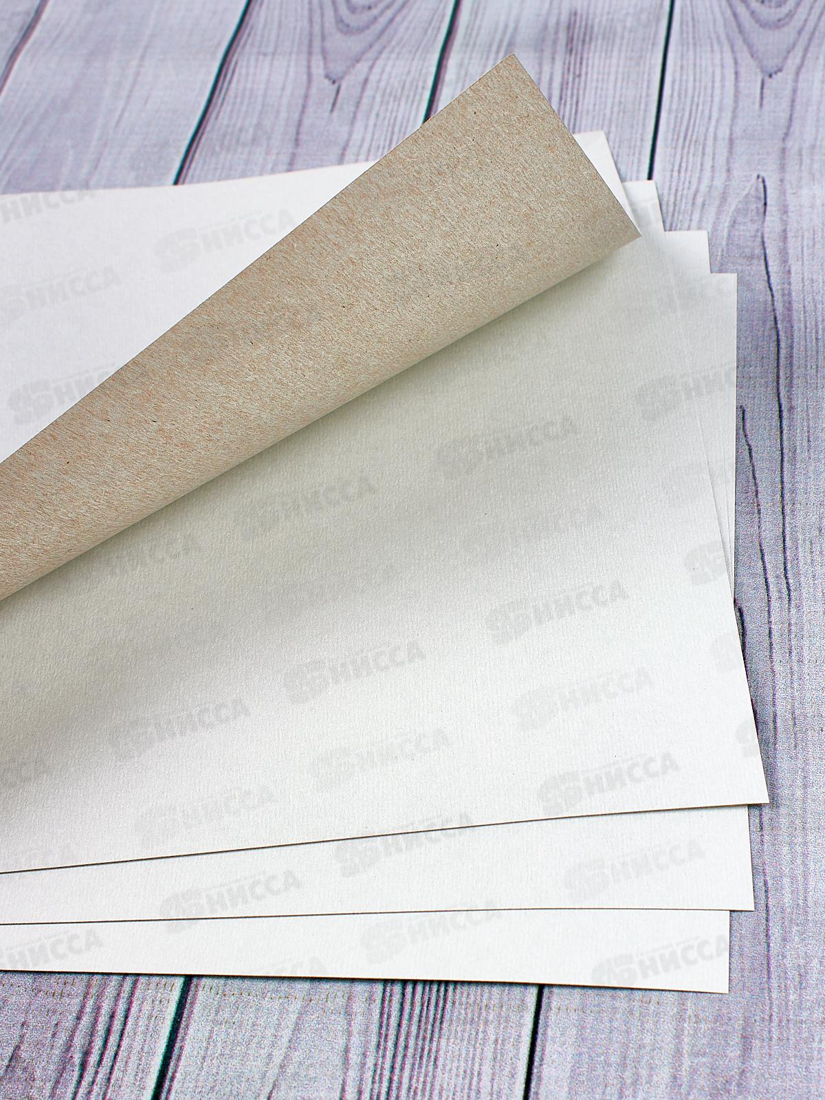 Цветная бумага+картон ZOO A4, Лев 20листов,    31с1958-08 *30