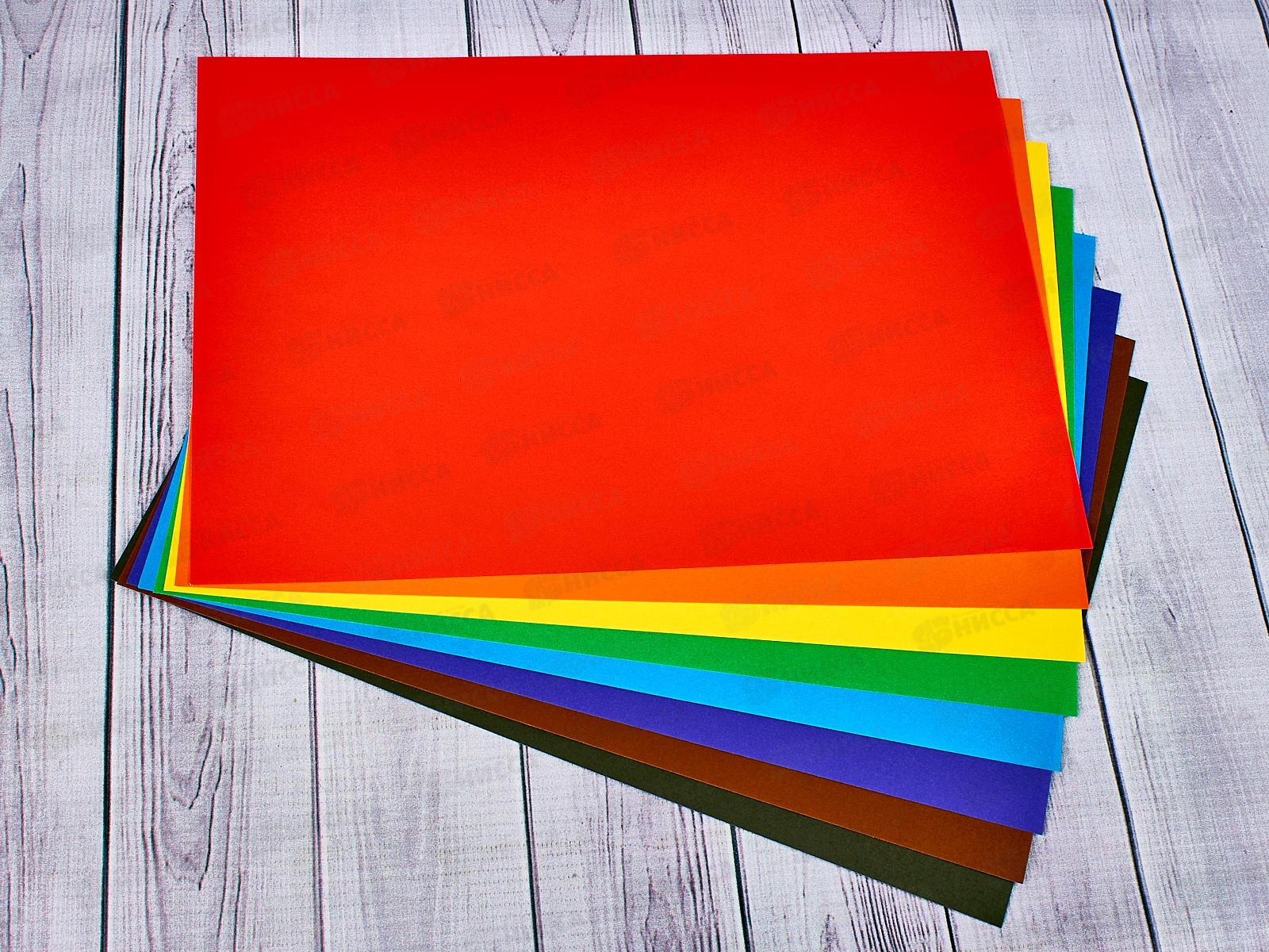 Цветная бумага+картон ZOO A4, Лев 20листов,    31с1958-08 *30