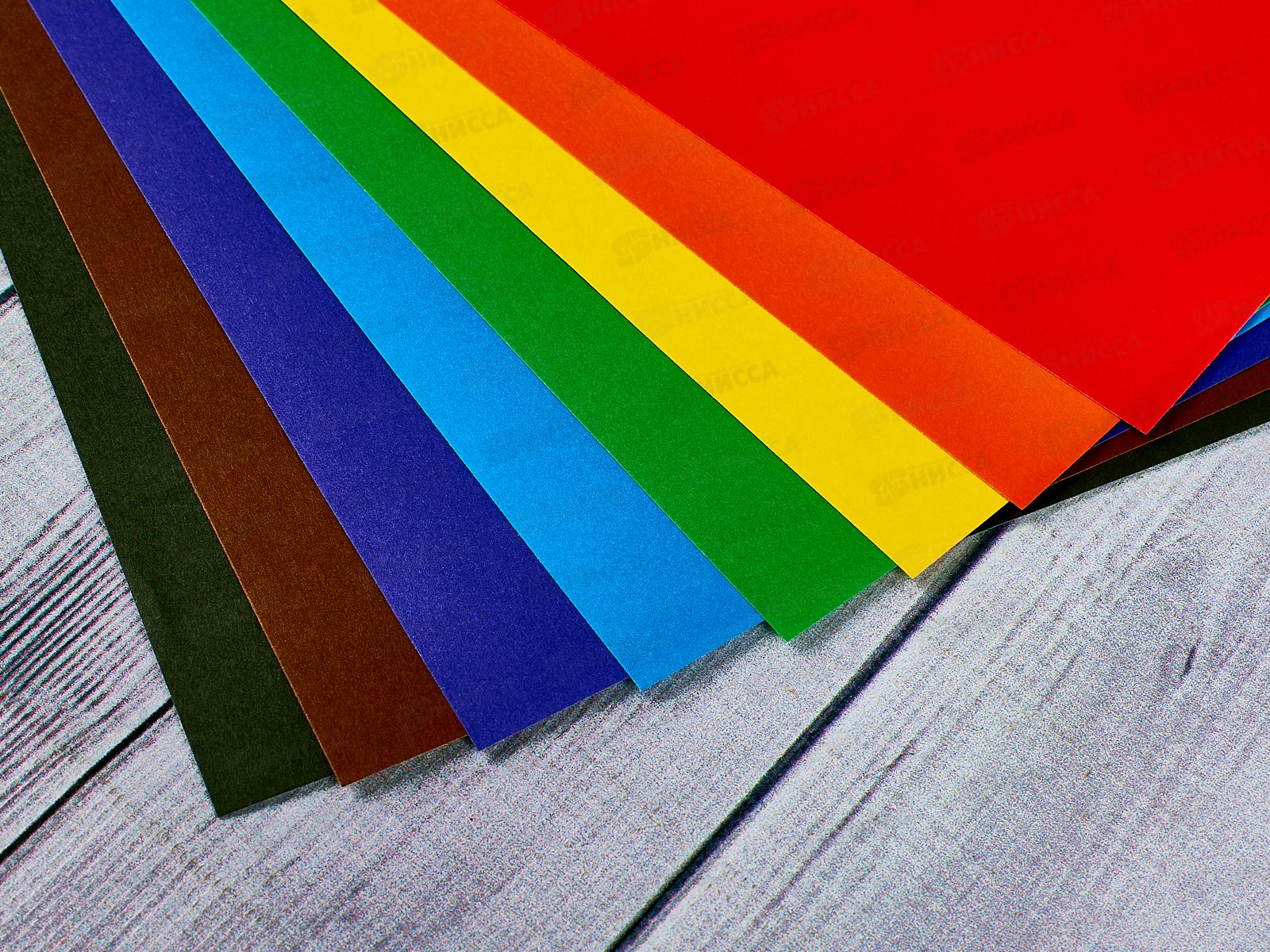 Цветная бумага+картон ZOO A4, Лев 20листов,    31с1958-08 *30