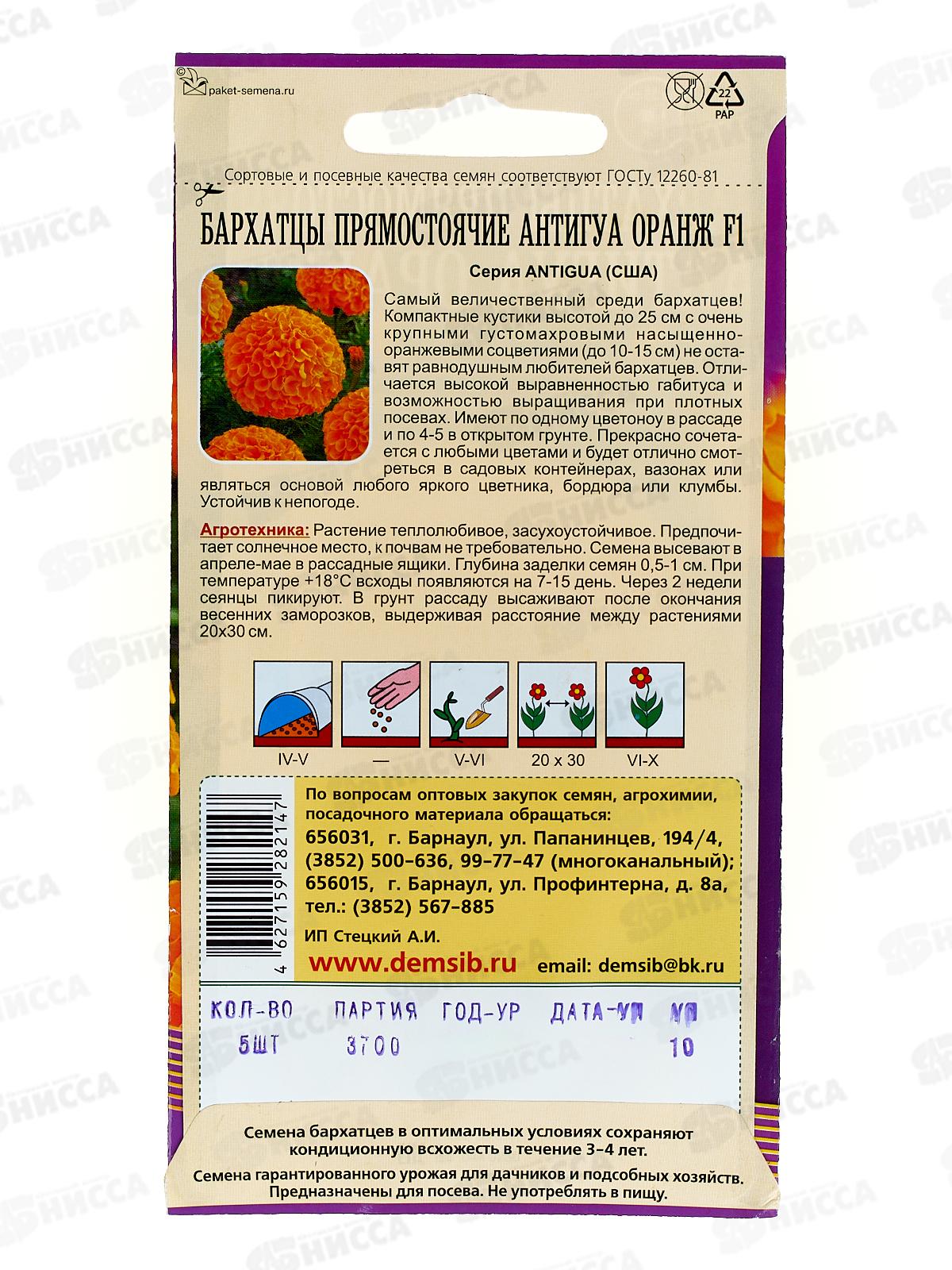 Бархатцы Антигуа оранж прямостоячие F1 (5шт) ДемСиб*5 +