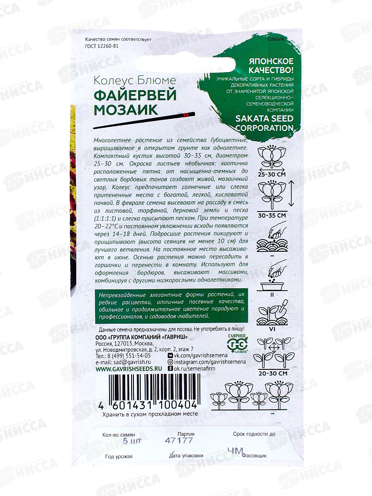 Колеус Файервей Мозаик 4шт *10 ГШ