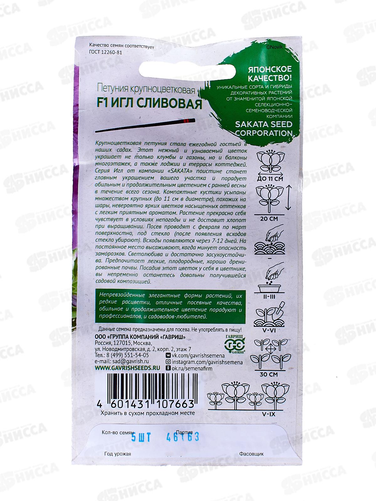 Петуния Игл сливовая F1 5шт в пробирке *10 ГШ +