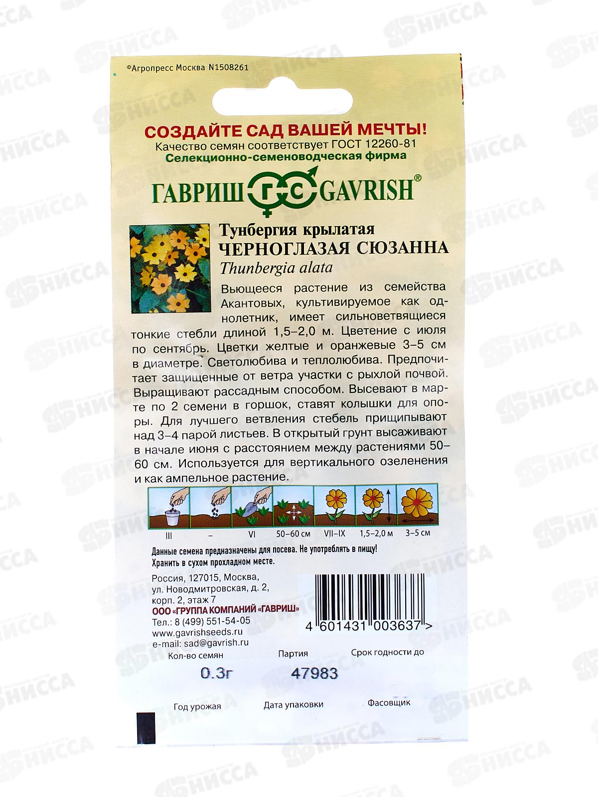 Тунбергия крылатая Черноглазая Сюзанна 0,3г *10 ГШ +
