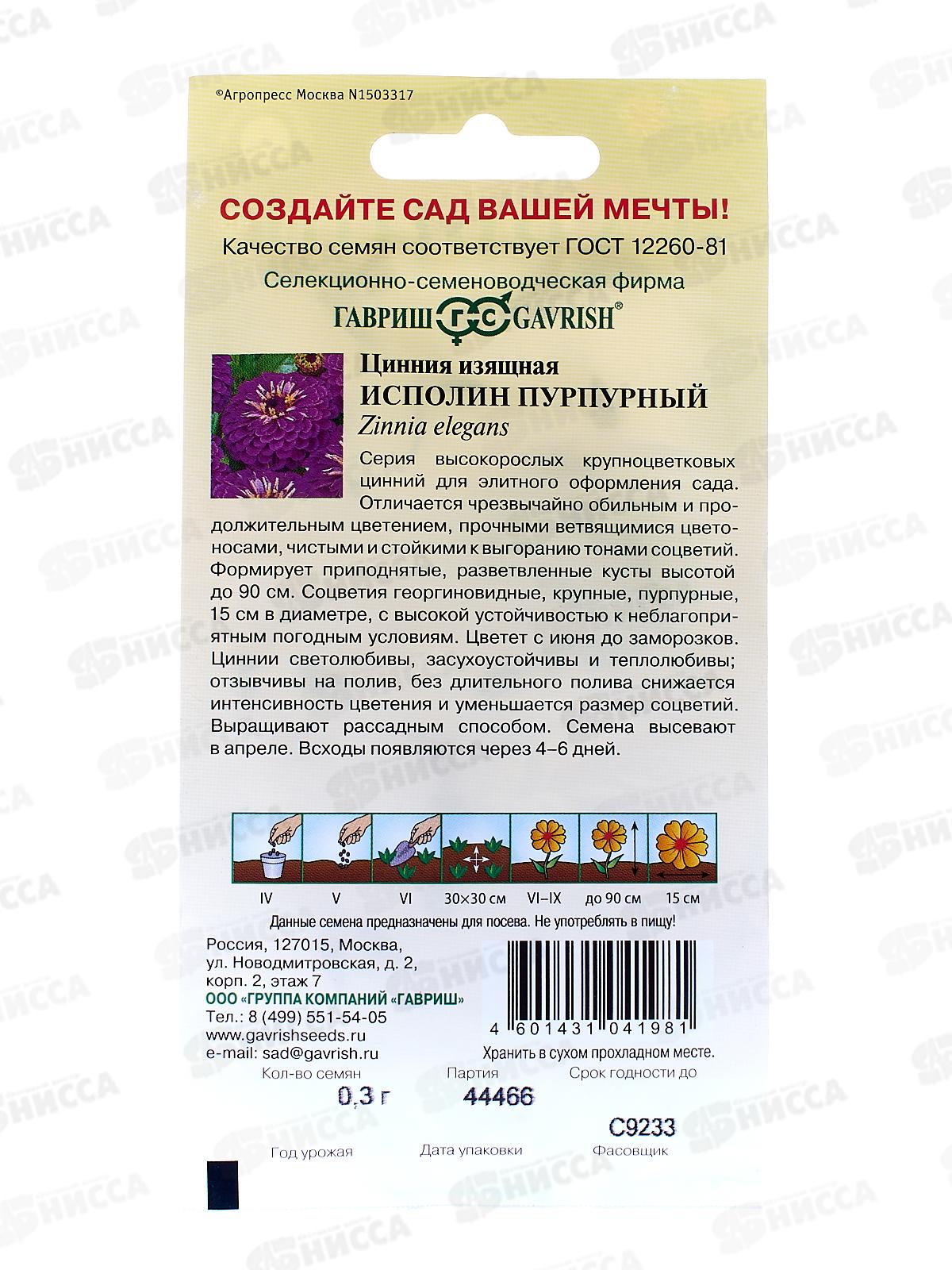 Цинния Исполин пурпурный 0,3г  *10 ГШ +