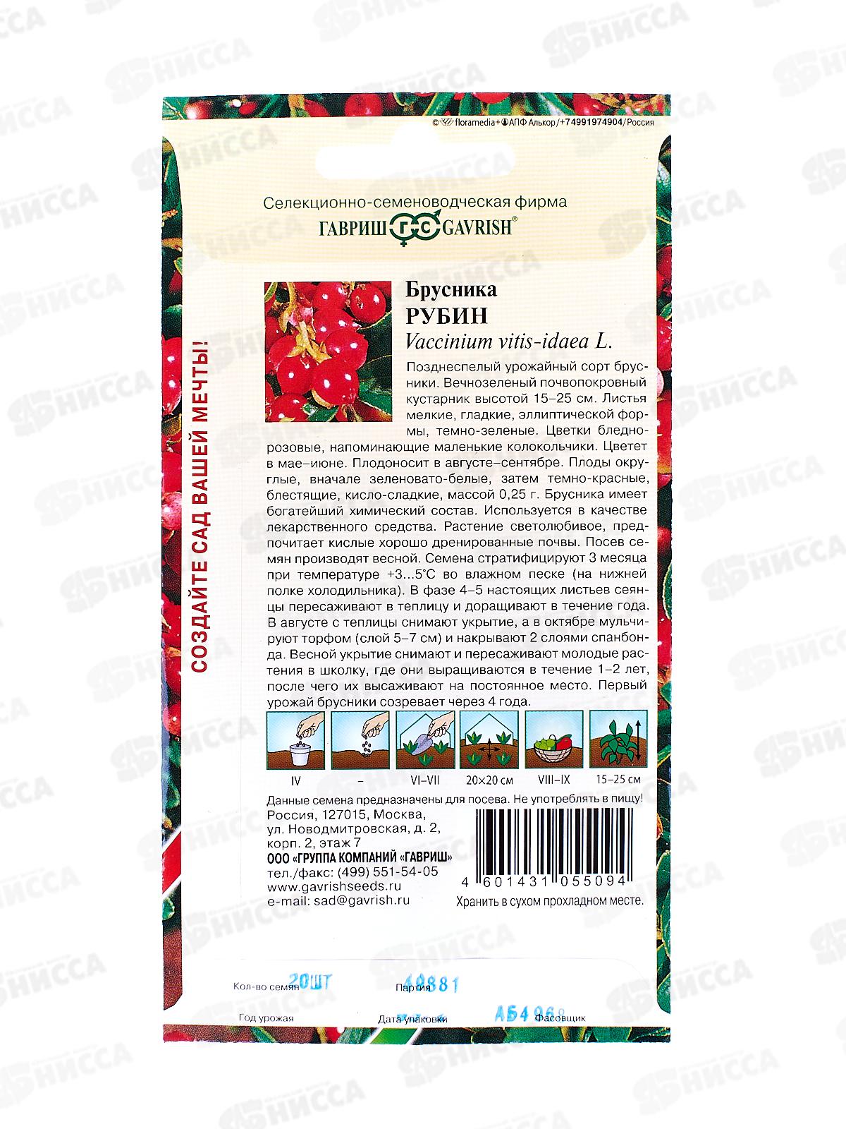 Брусника Рубин 20шт *10 ГШ СРОК ДО 12.24