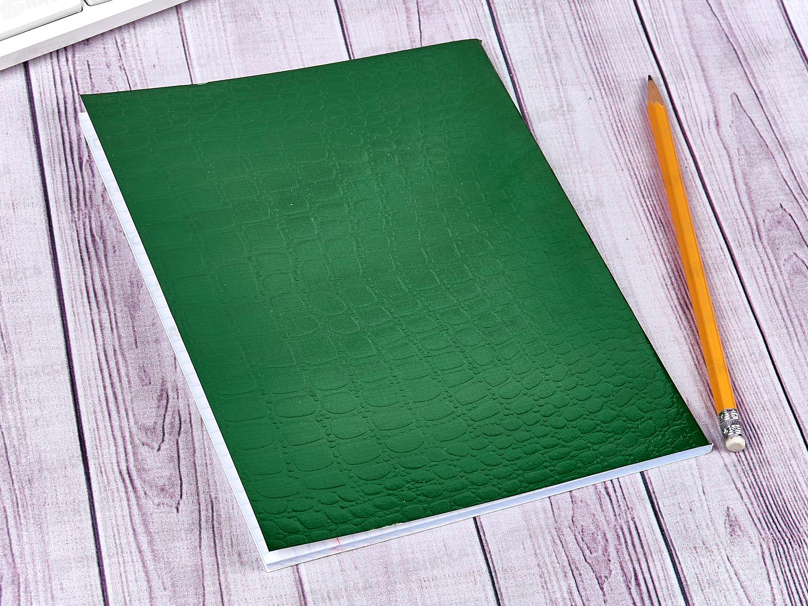 Тетрадь 48 листов клетка Hatber б/в METALLIC CROCO Зеленый*5/60