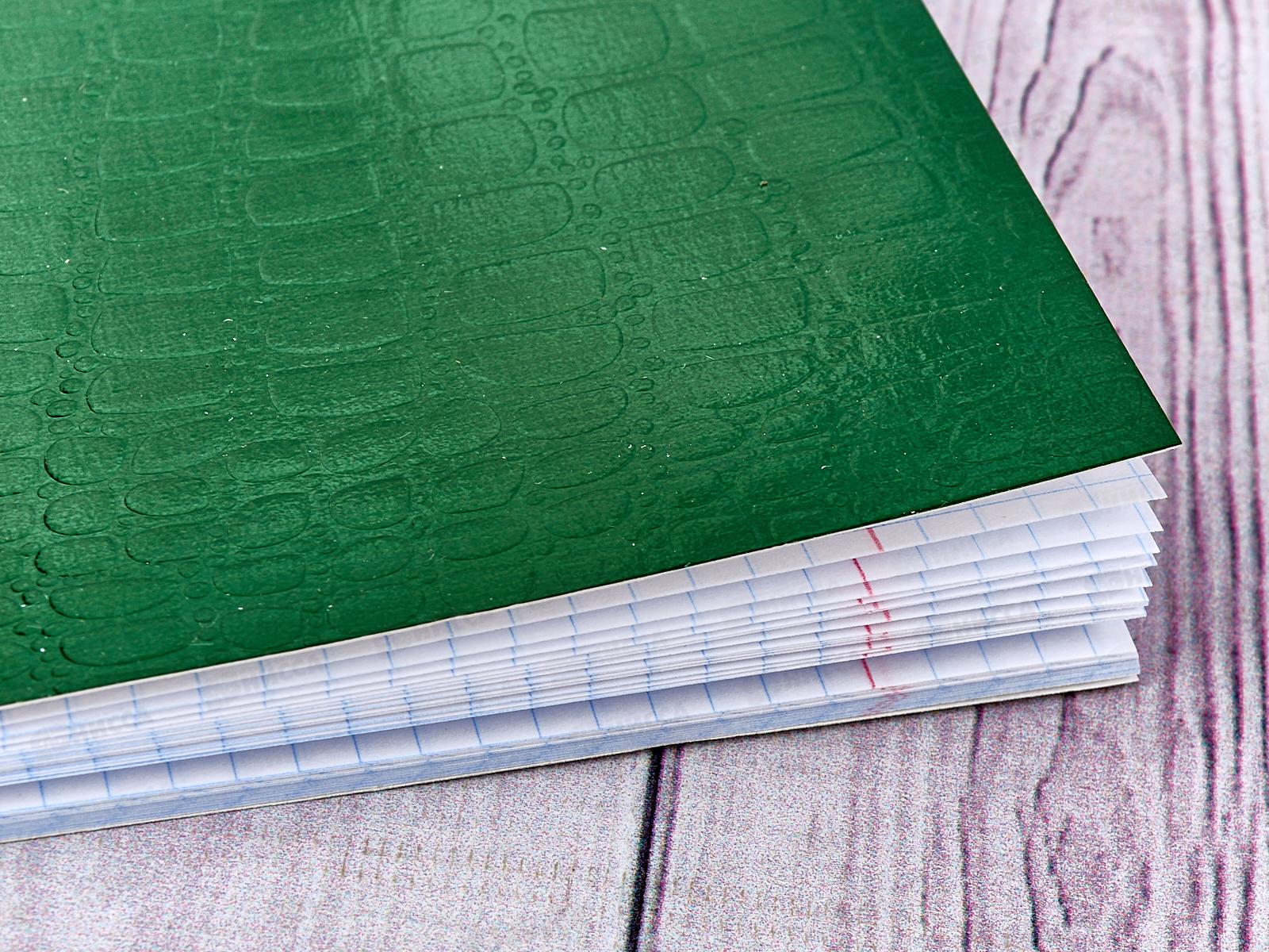 Тетрадь 48 листов клетка Hatber б/в METALLIC CROCO Зеленый*5/60