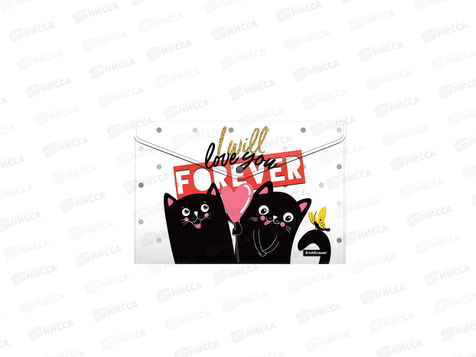 Папка-конверт пластиковая на кнопке EK Feline Friends 4шт А4 54903