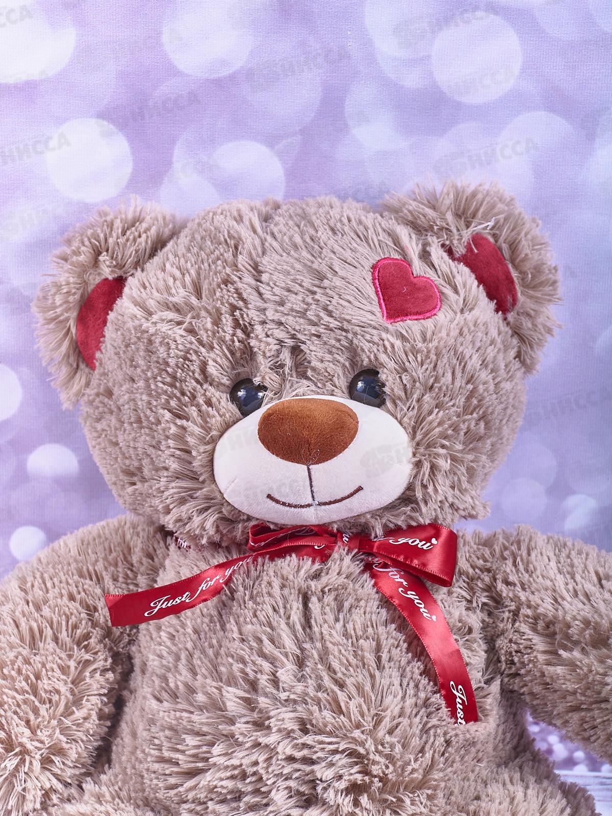 Медведь Кельвин 50см, МКЛ-50Ф