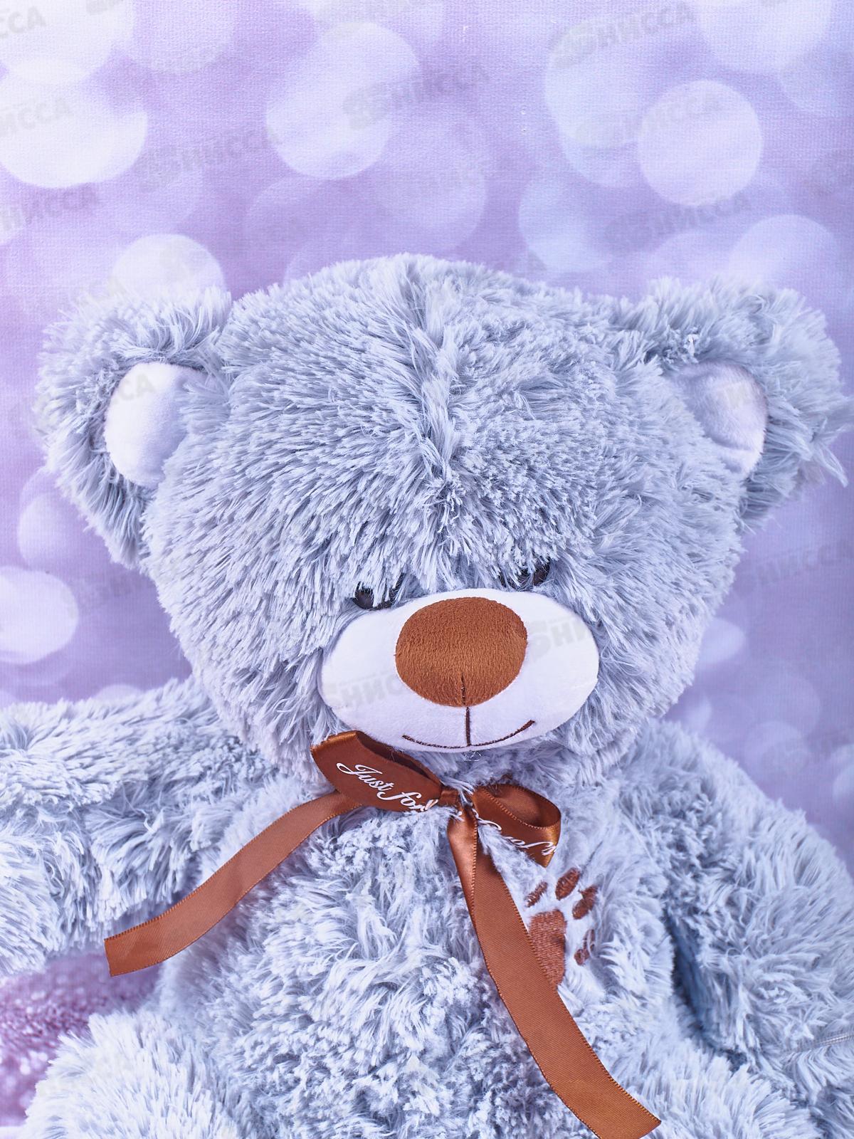 Медведь Бен 50см, МБ-50Д