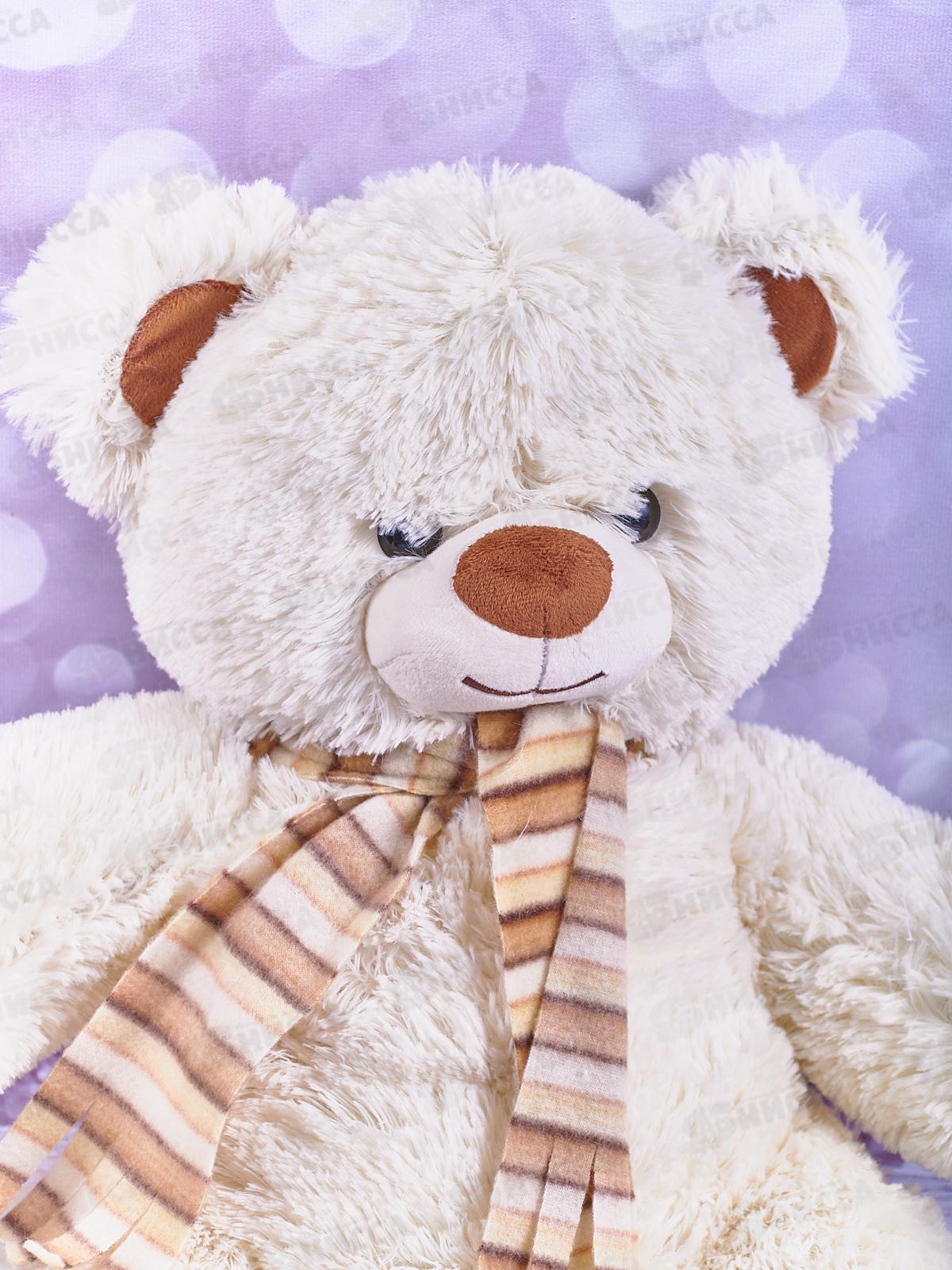 Медведь Фреди 50см, МФР-50Л, белый