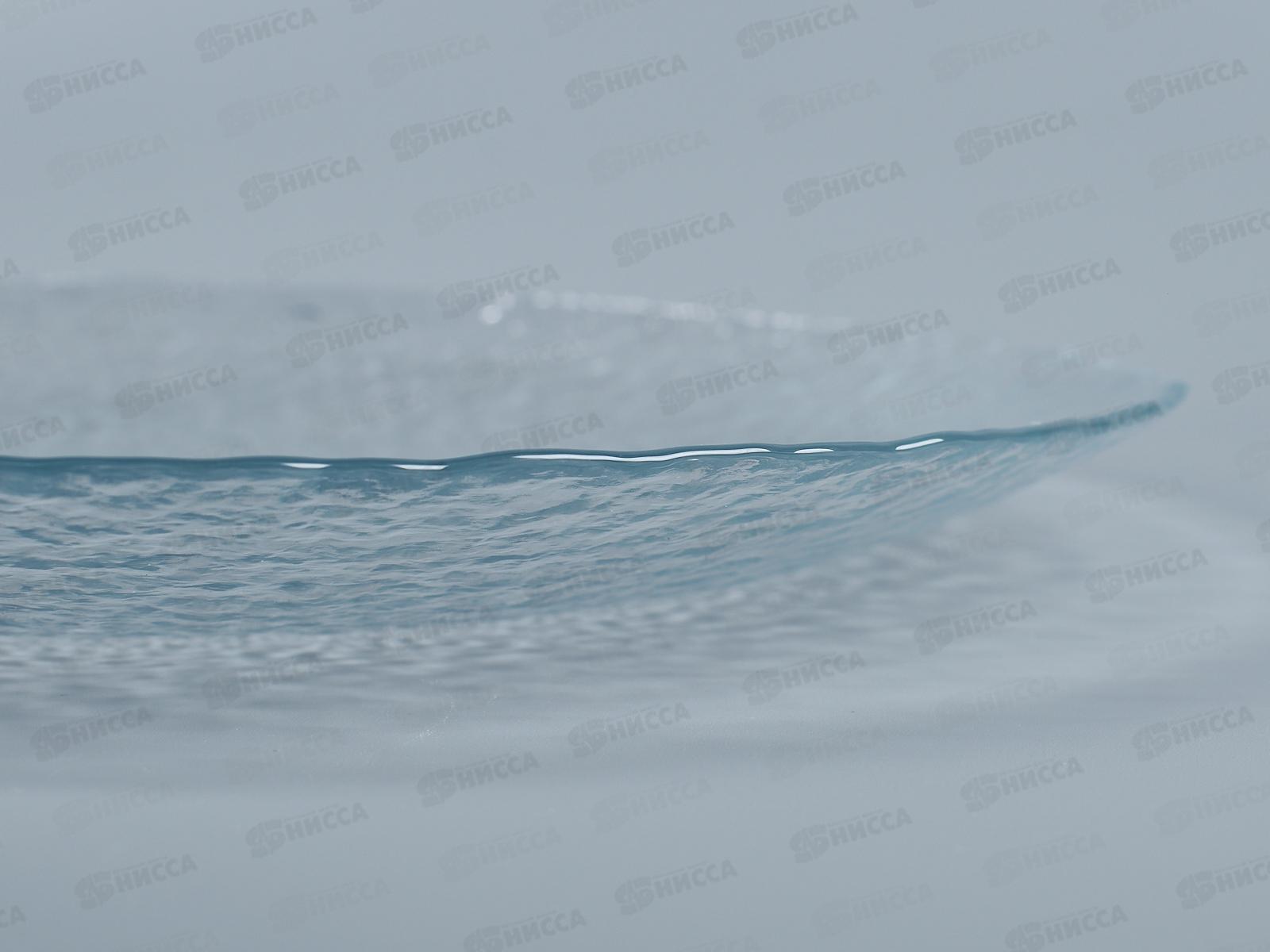 Тарелка Хэйз 240мм 10381SL