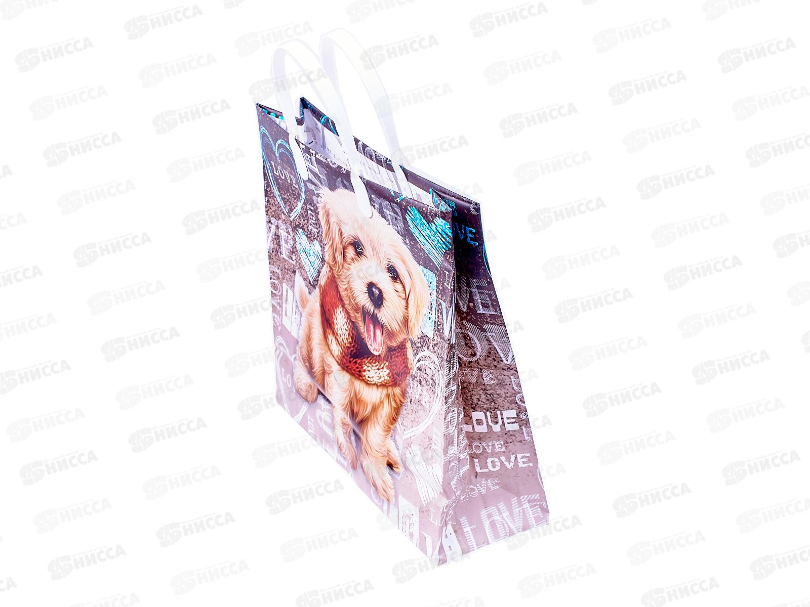 Сумочка пластик мягкий 30*30 Любимчик *40