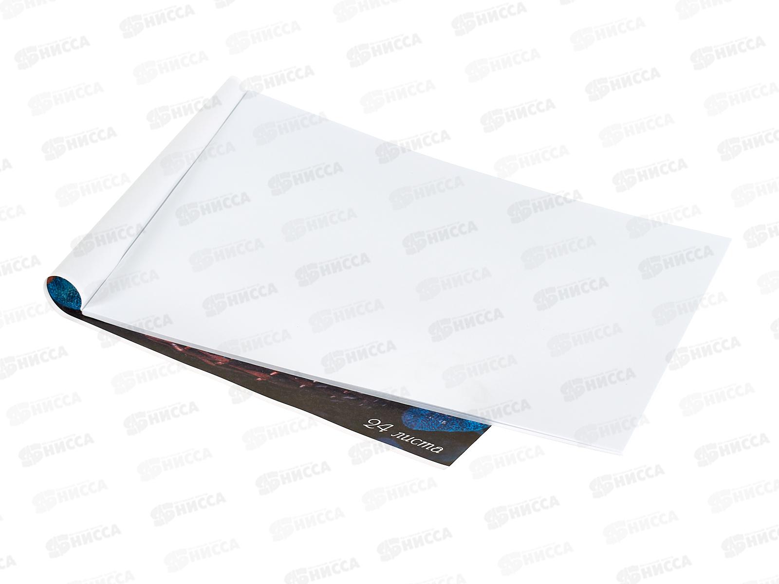 Альбом для рисования 24 листов  Hatber ассорти *55